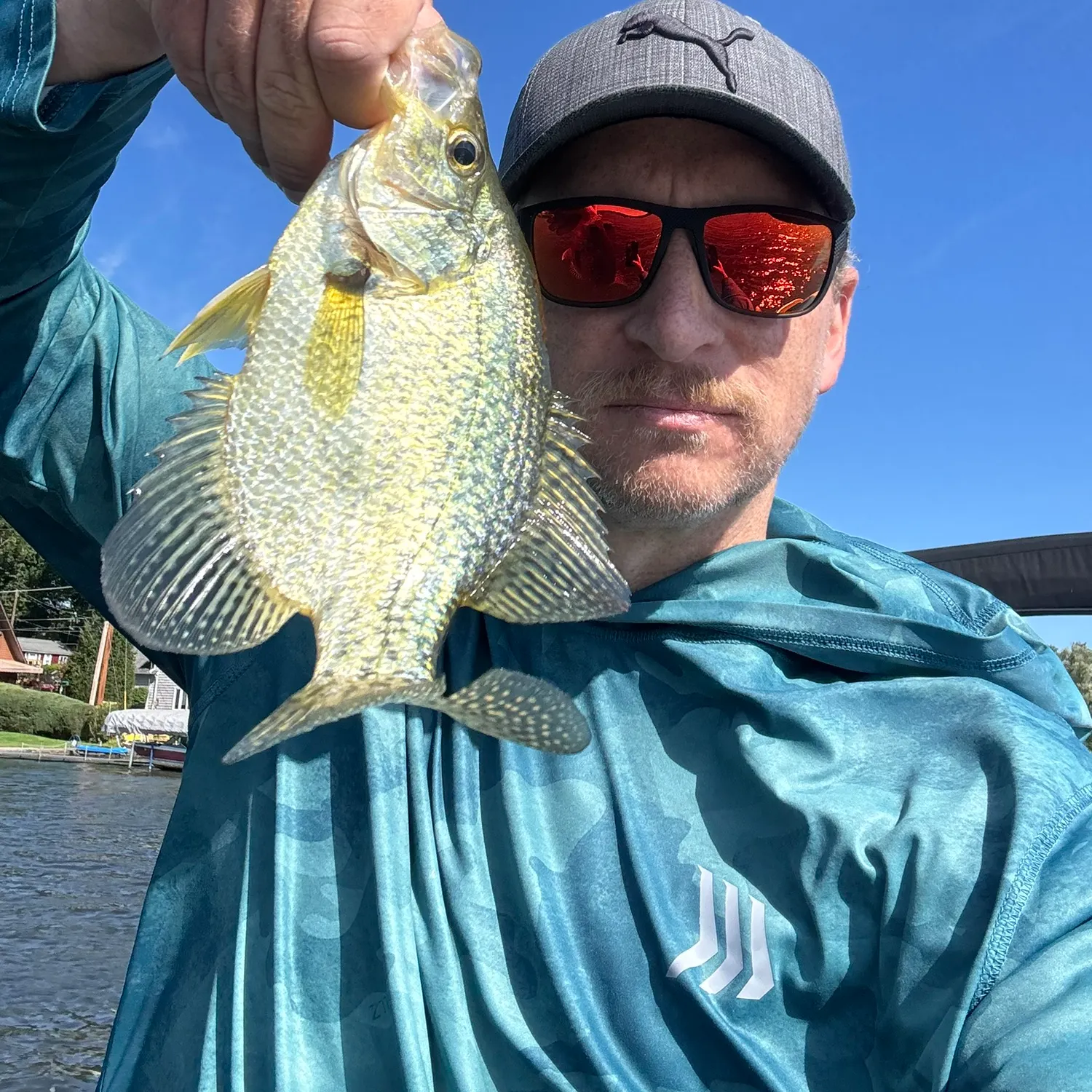 Black crappie caught on Fishbrain
