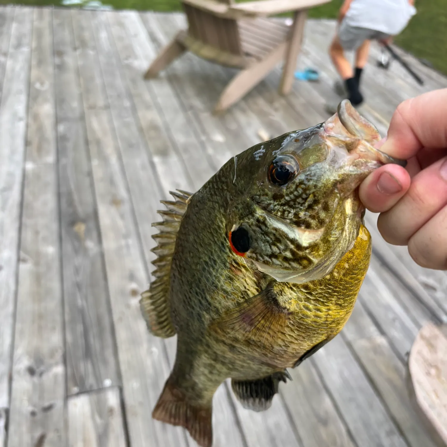 catch