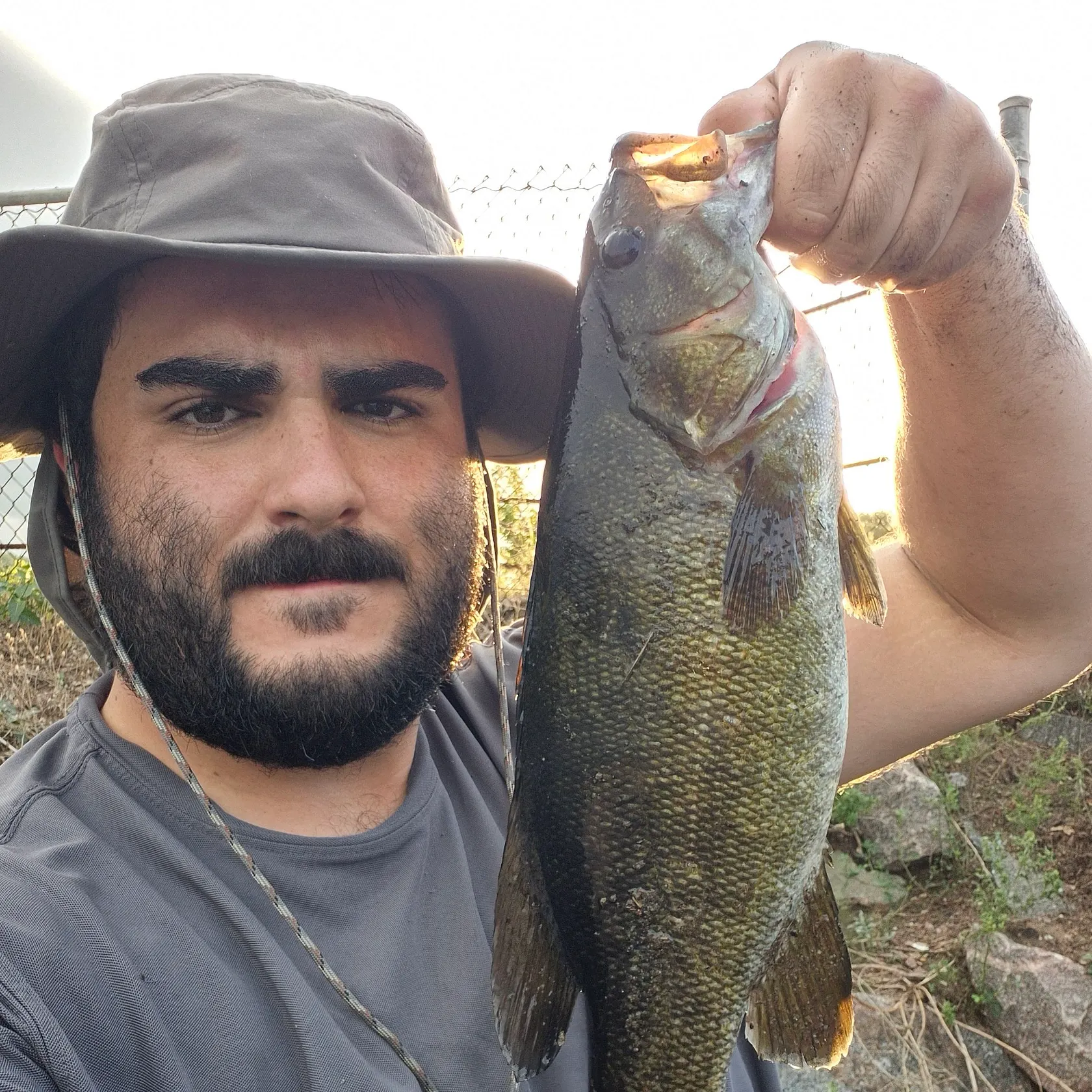 Smallmouth bass caught on Fishbrain