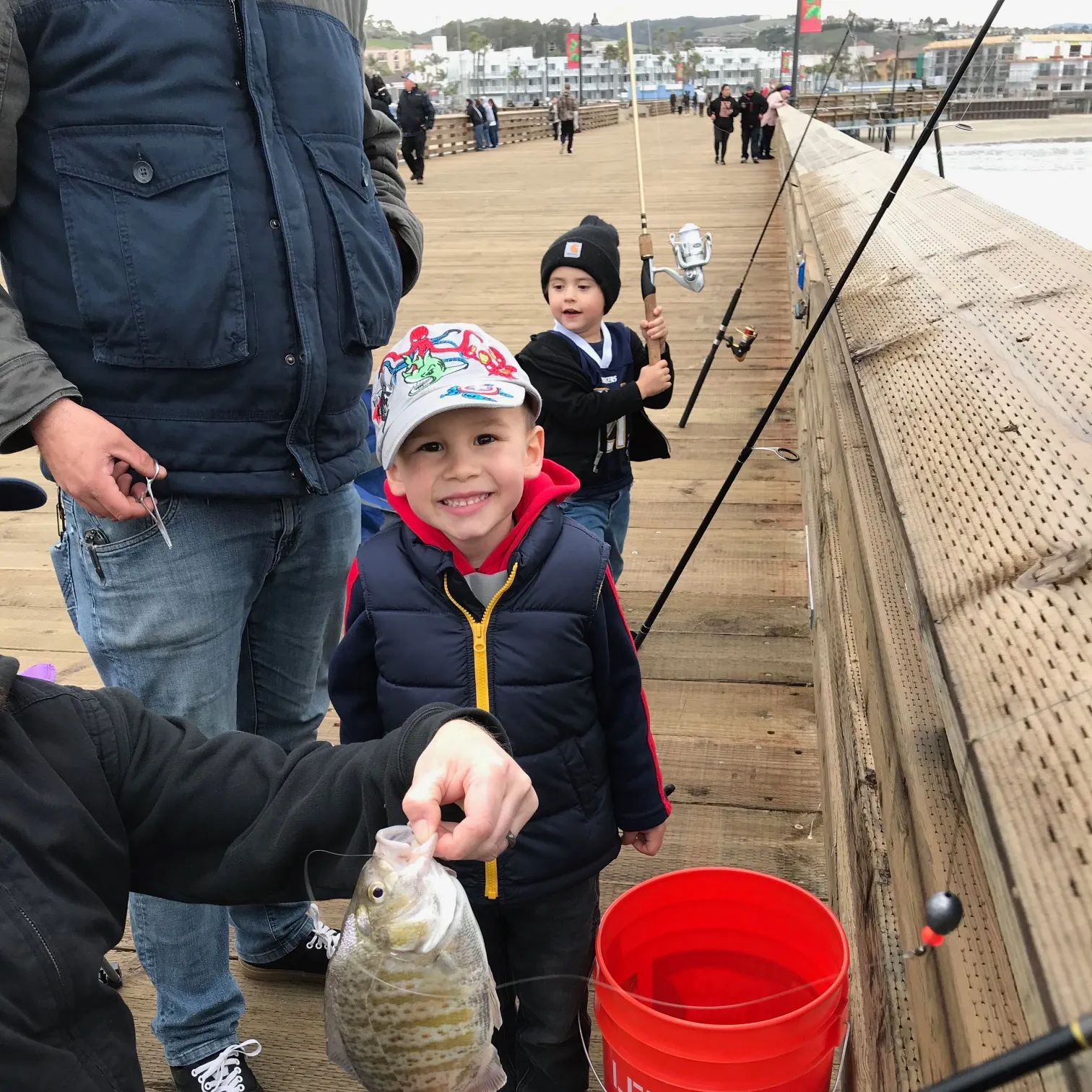 The most recent Barred surfperch catches on Fishbrain