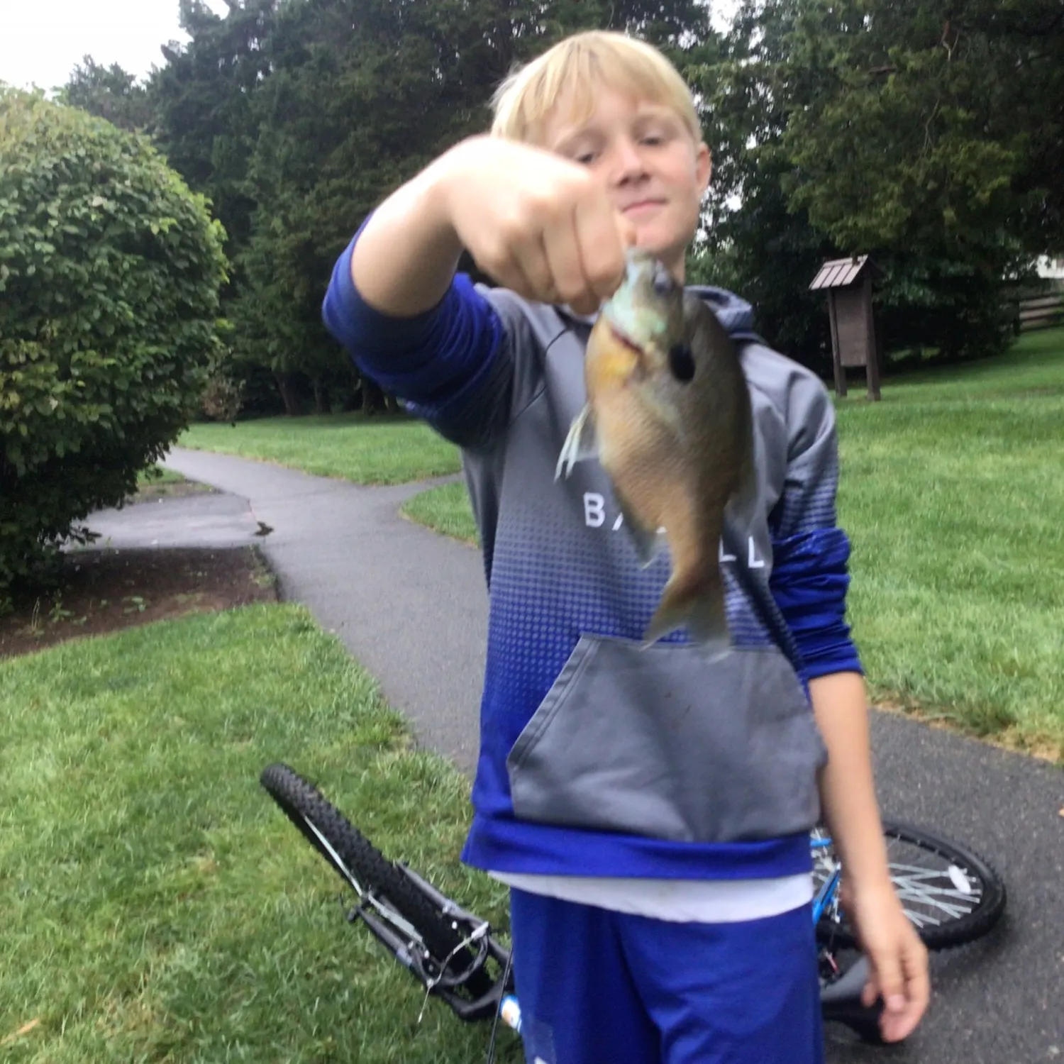Smallmouth bass caught on Fishbrain