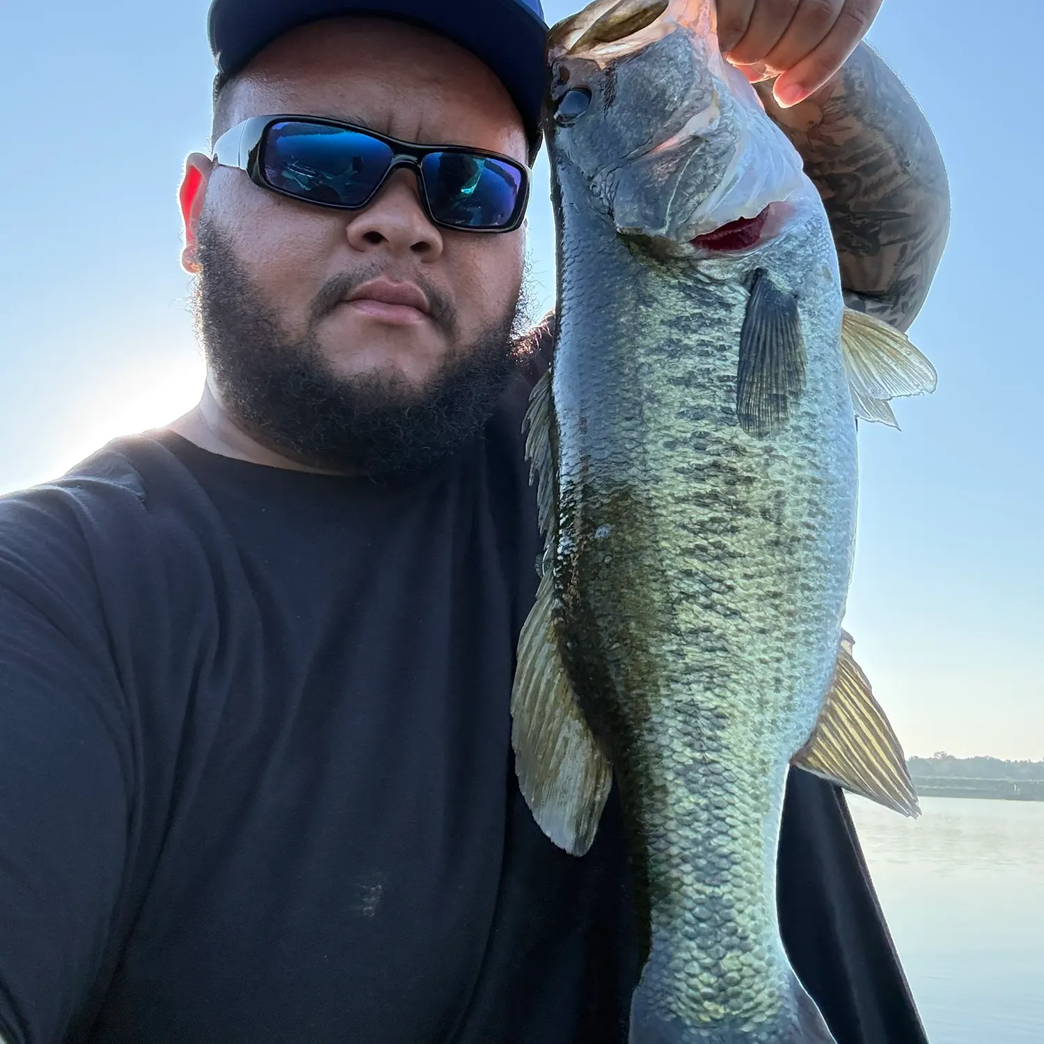 Spotted bass caught on Fishbrain