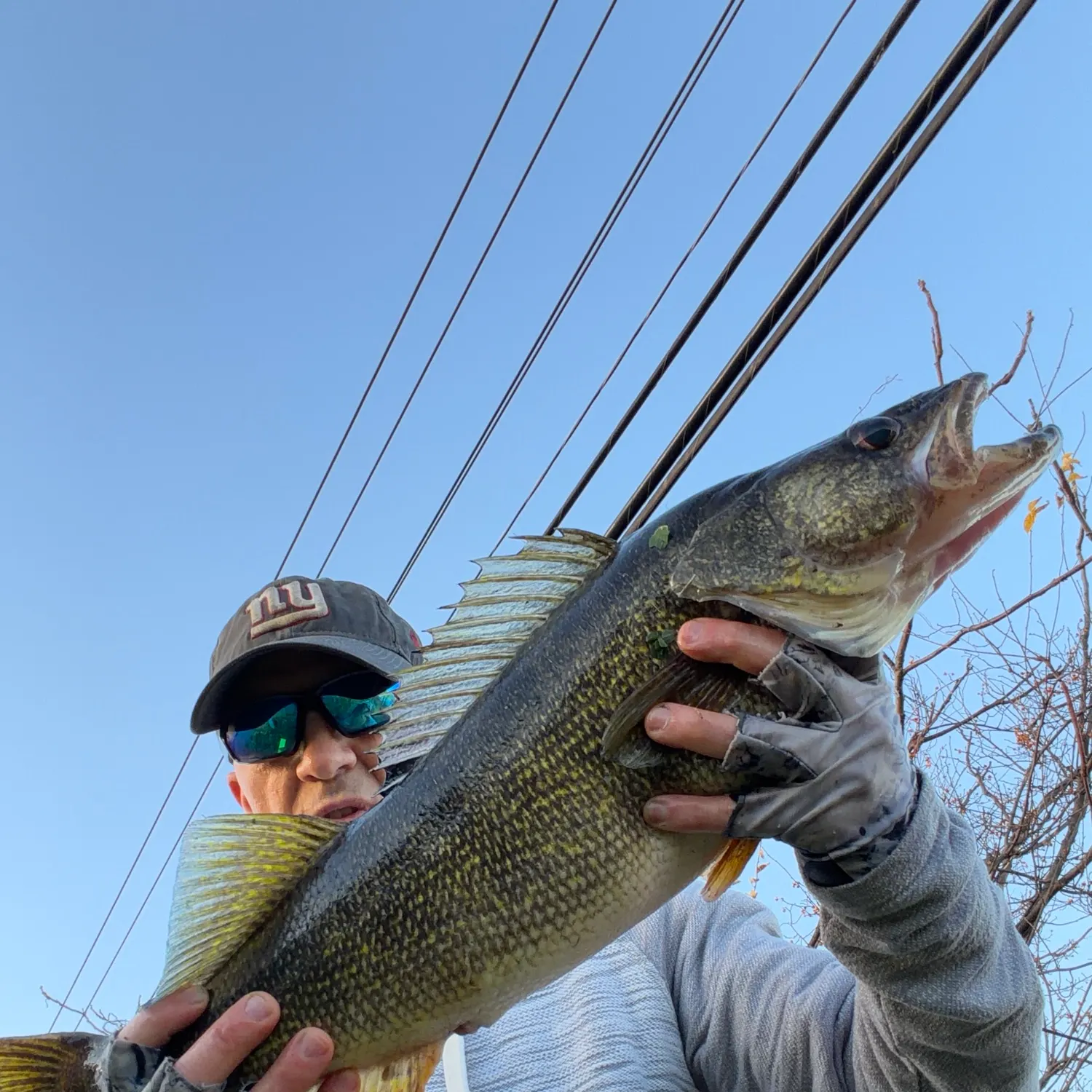 Walleye caught on Fishbrain