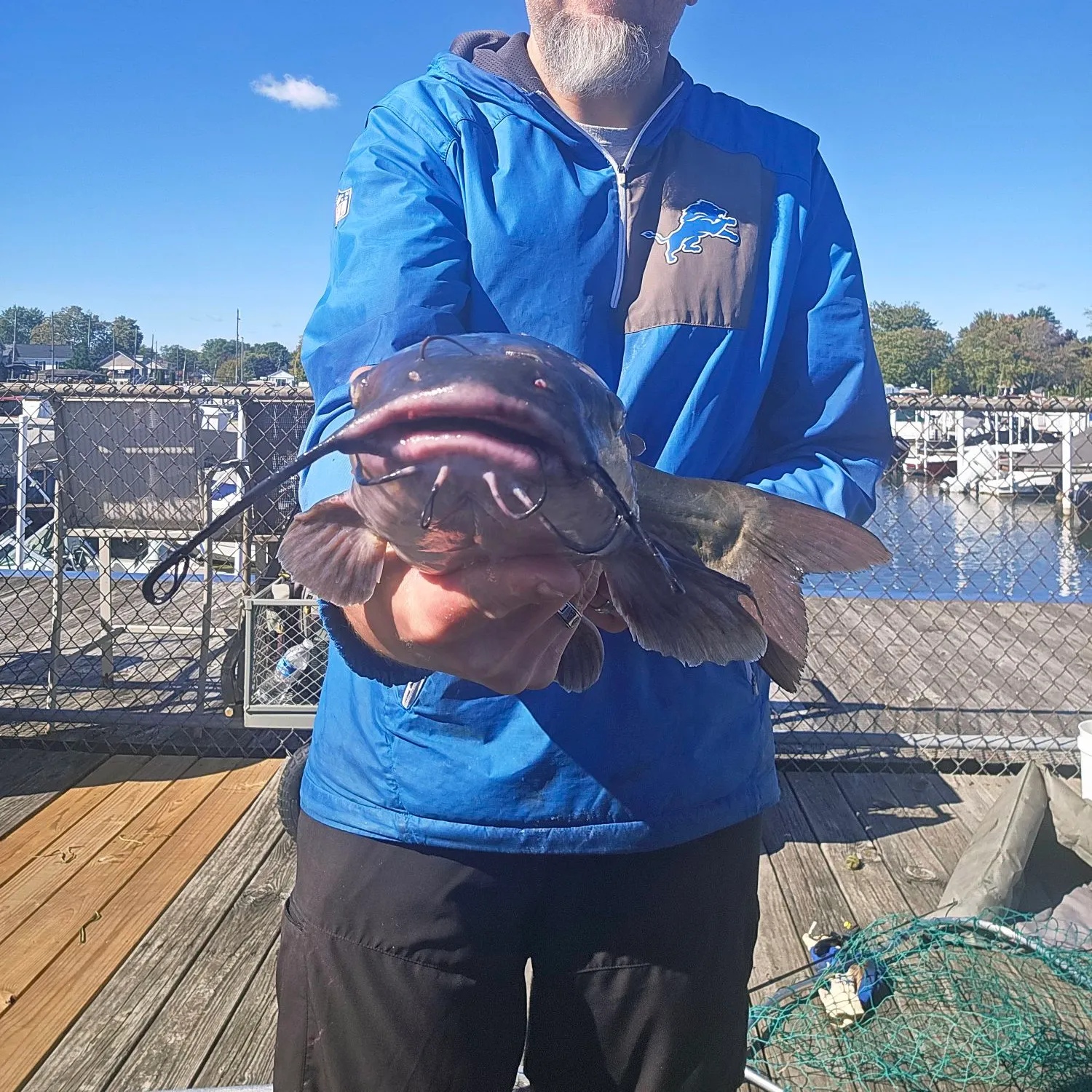 Channel catfish caught on Fishbrain