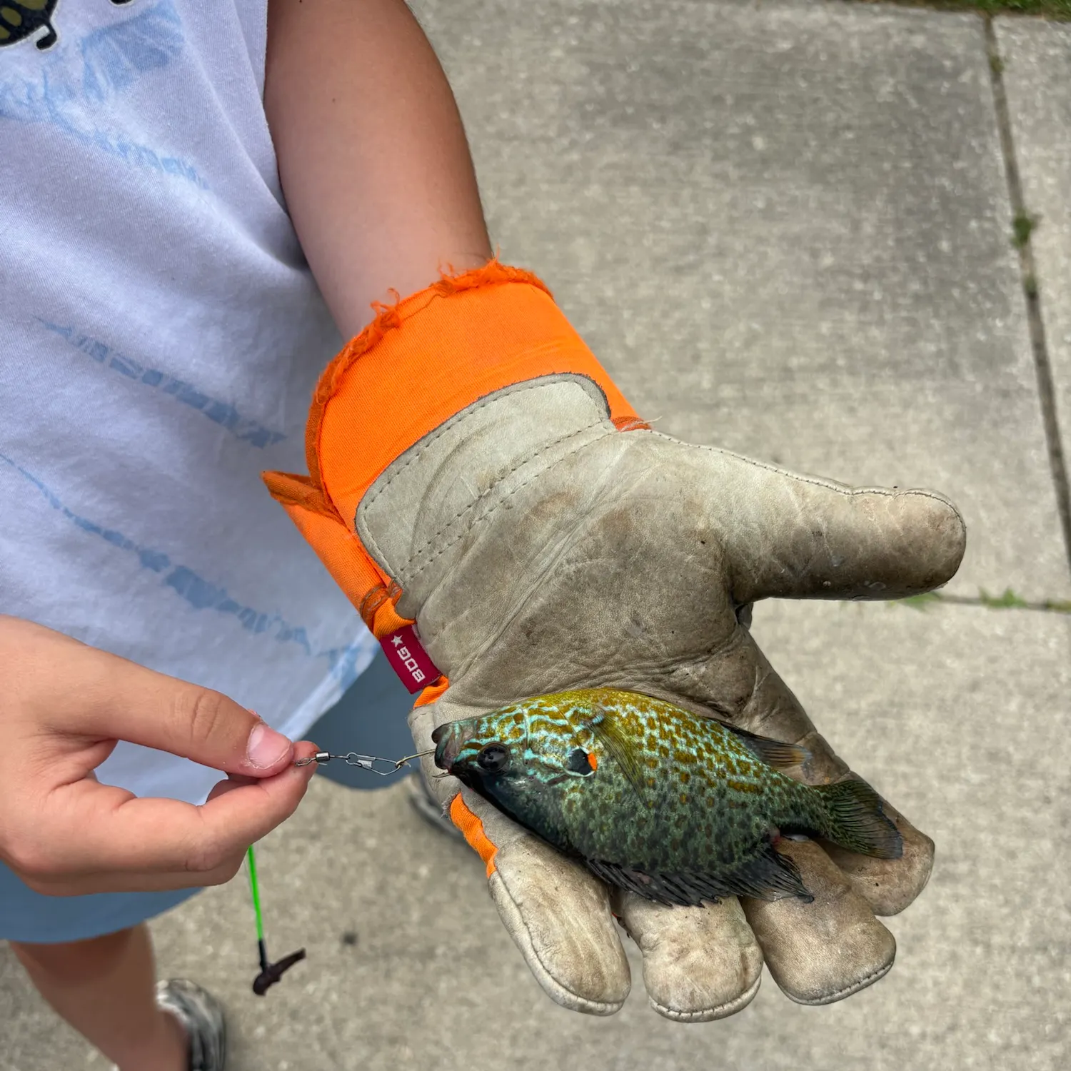 catch