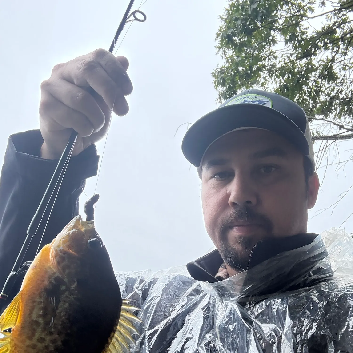 Pumpkinseed caught on Fishbrain