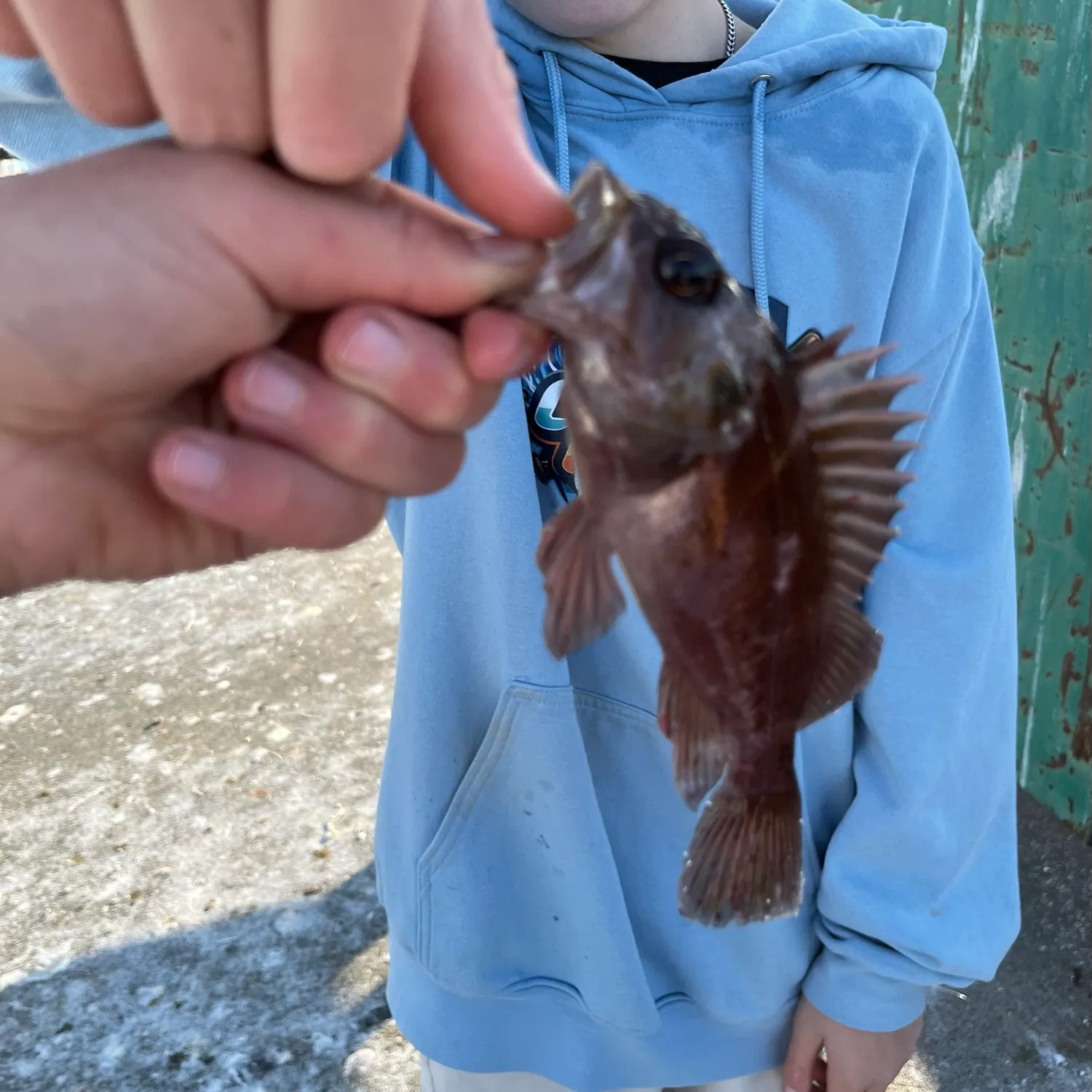 catch