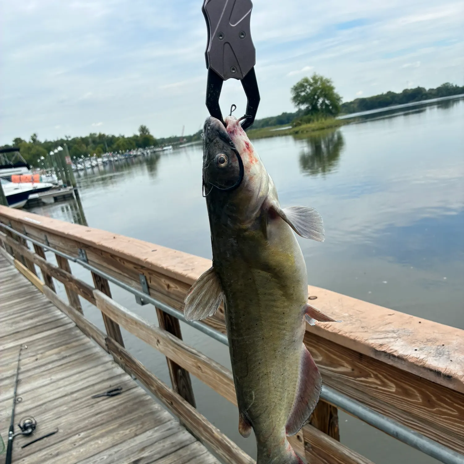 catch