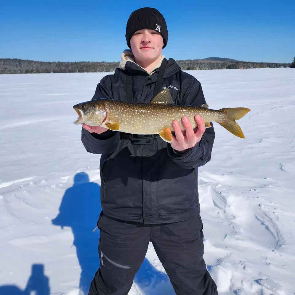 The most recent Lake char catches on Fishbrain