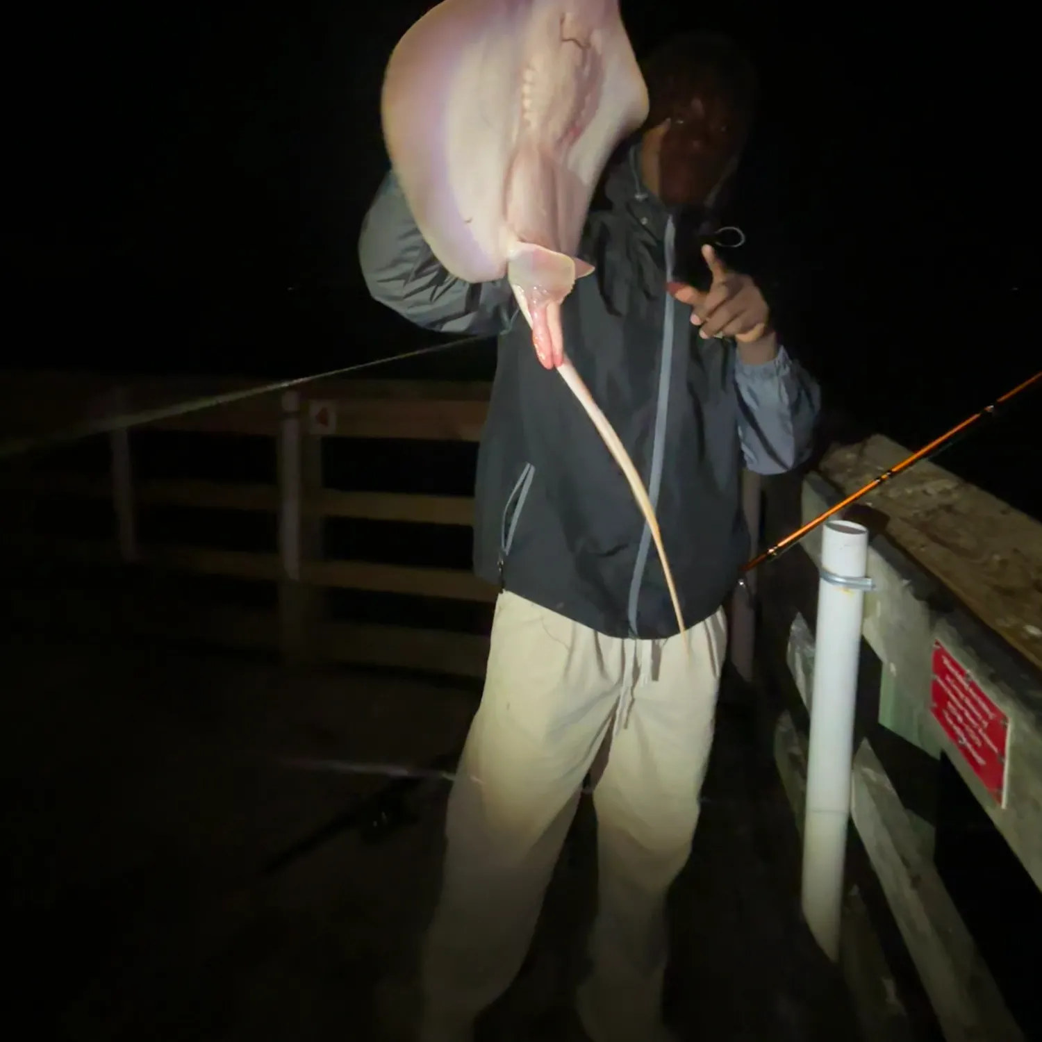 The most recent Atlantic stingray catches on Fishbrain