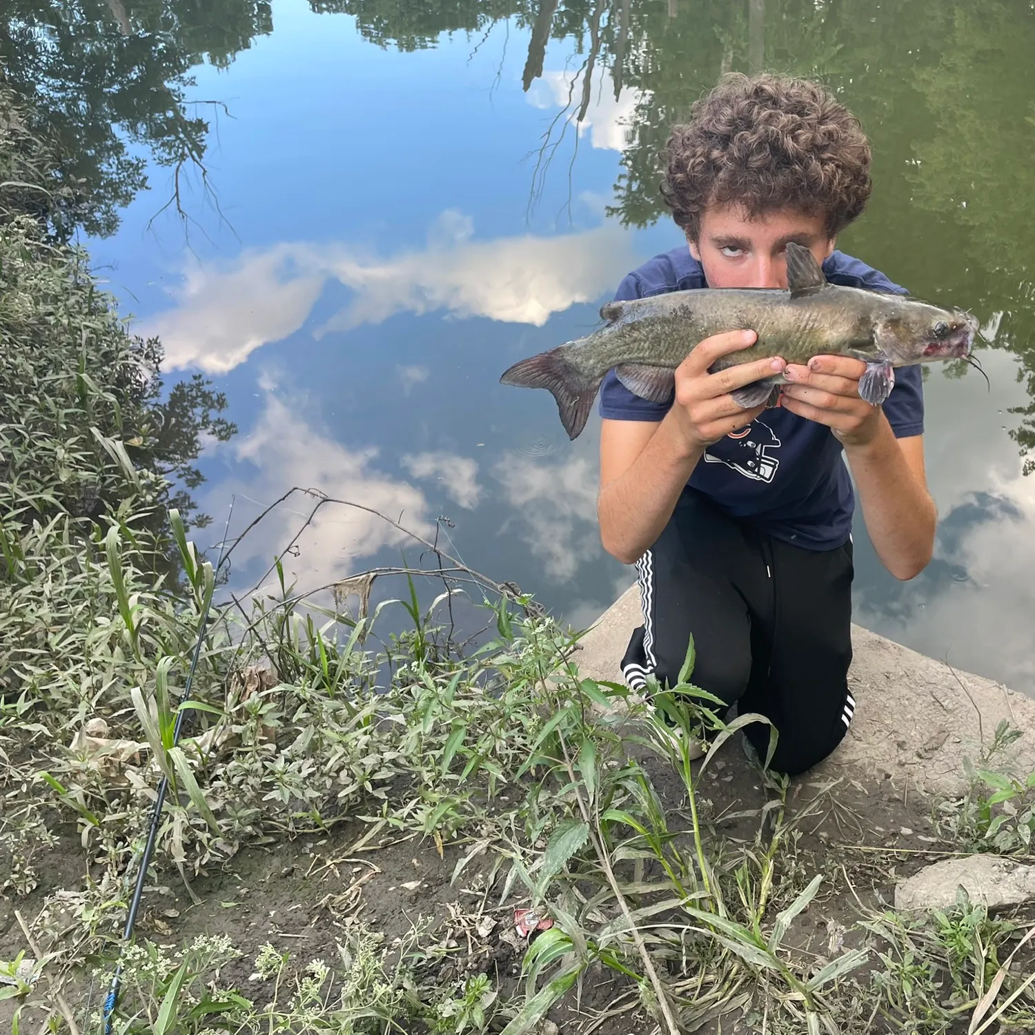 Channel catfish caught on Fishbrain