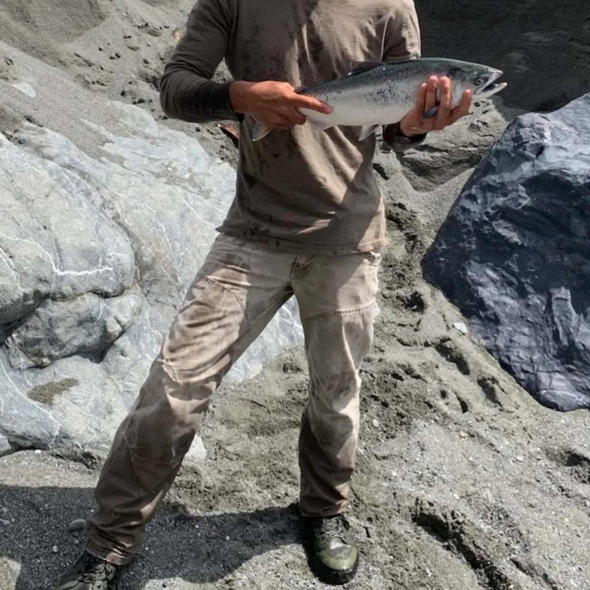 Chinook salmon caught on Fishbrain