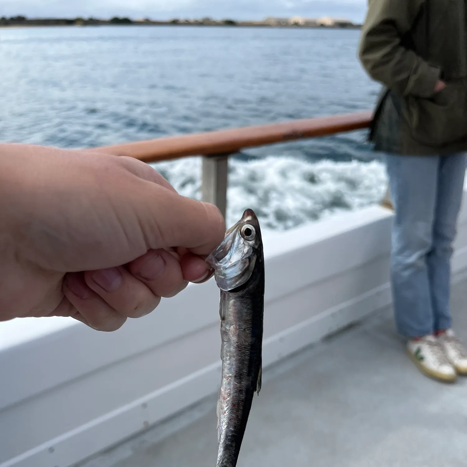 most liked catch image