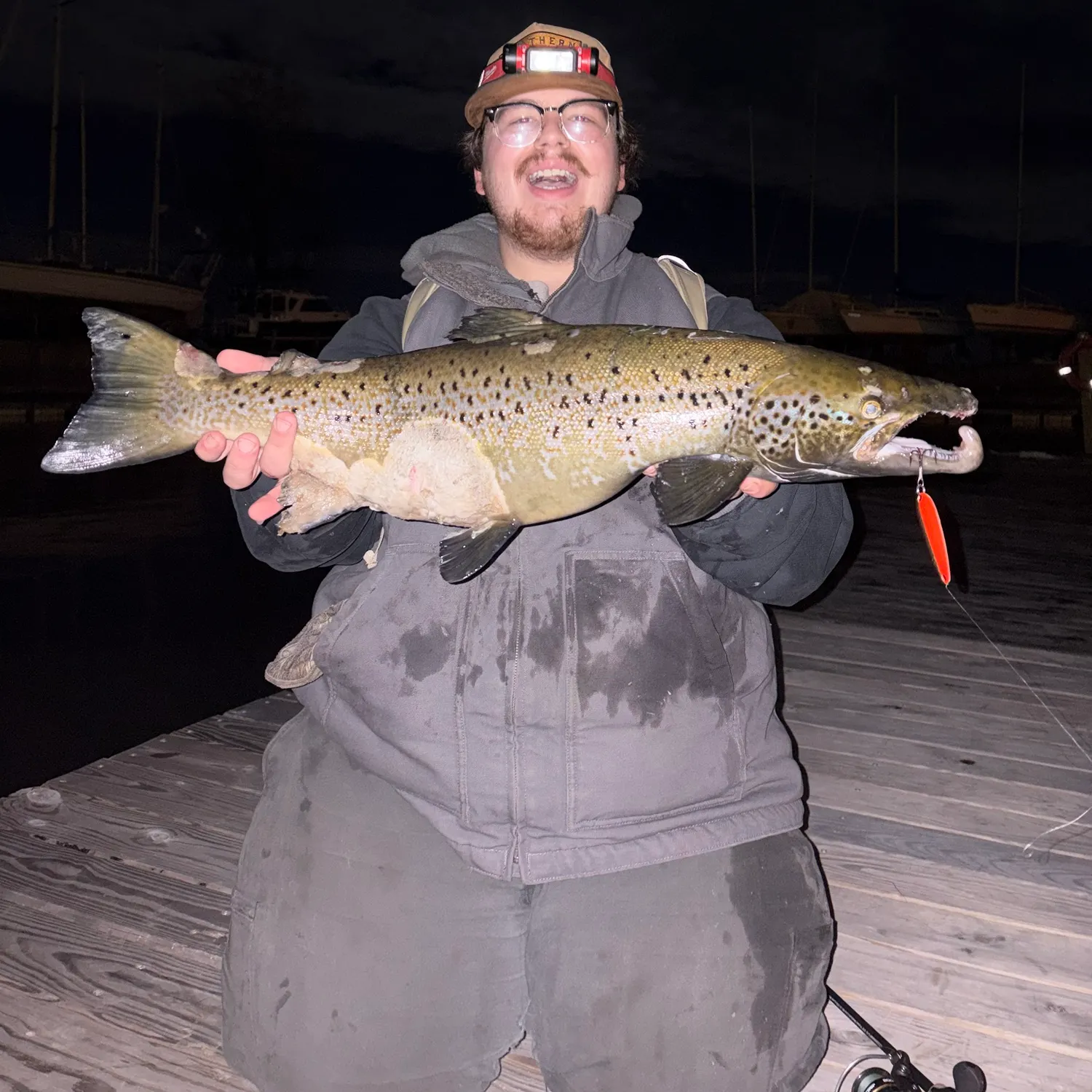 Landlocked atlantic salmon caught on Fishbrain