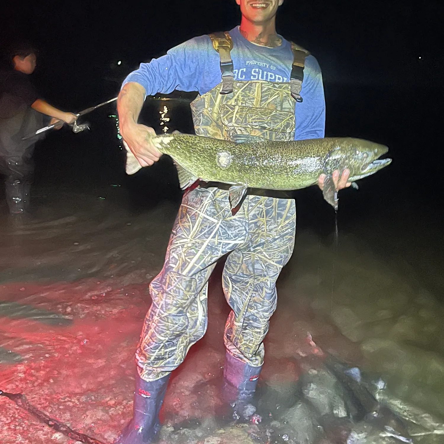 Chum salmon caught on Fishbrain
