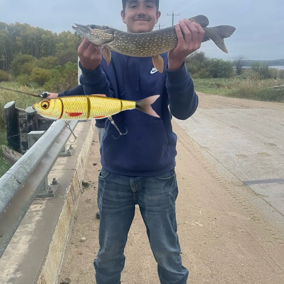 Northern pike caught on Fishbrain