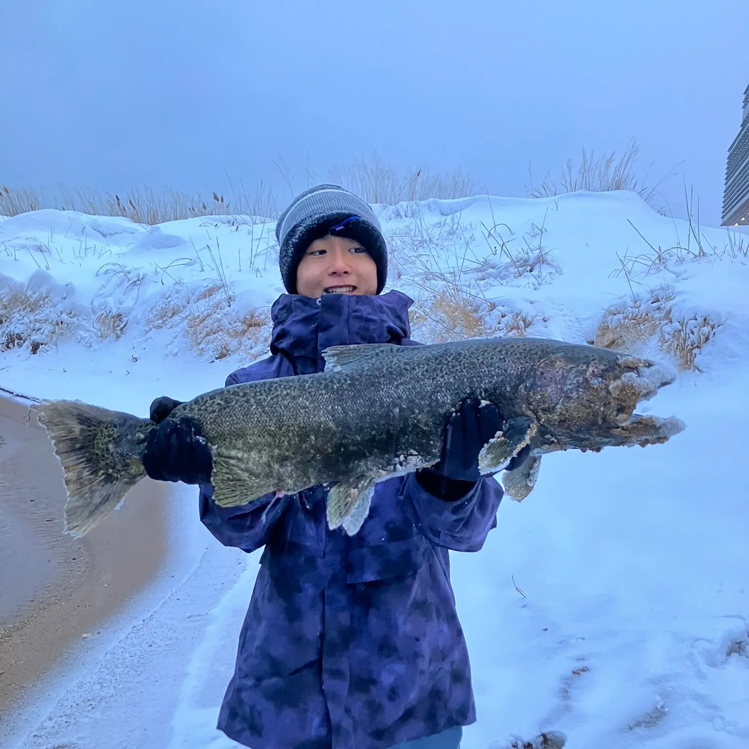 The most recent Chinook salmon catches on Fishbrain