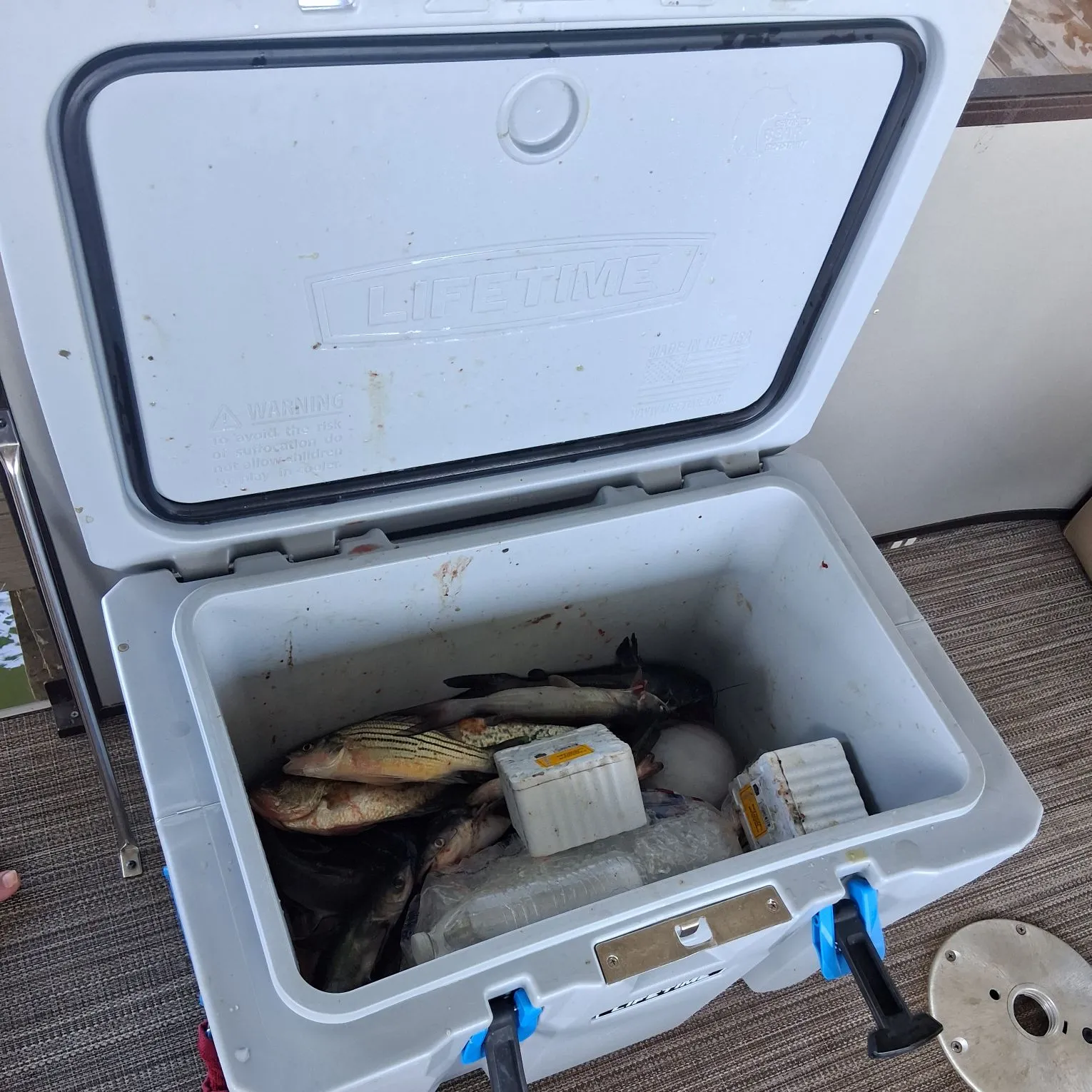 recently logged catches