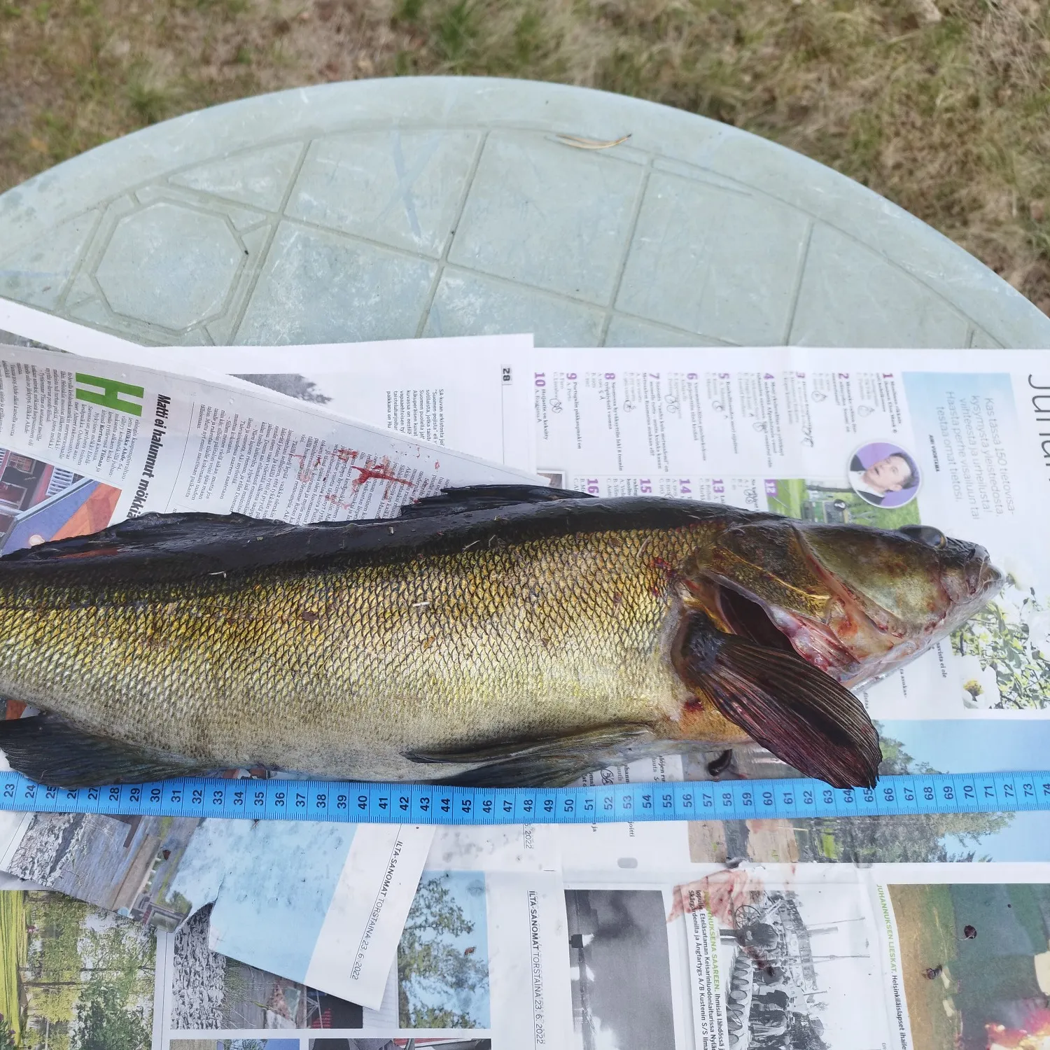 recently logged catches