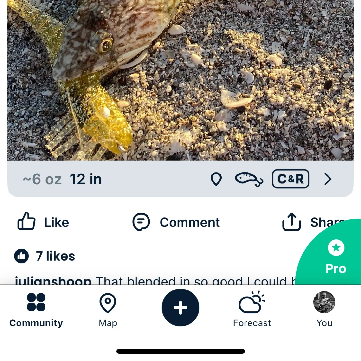 recently logged catches