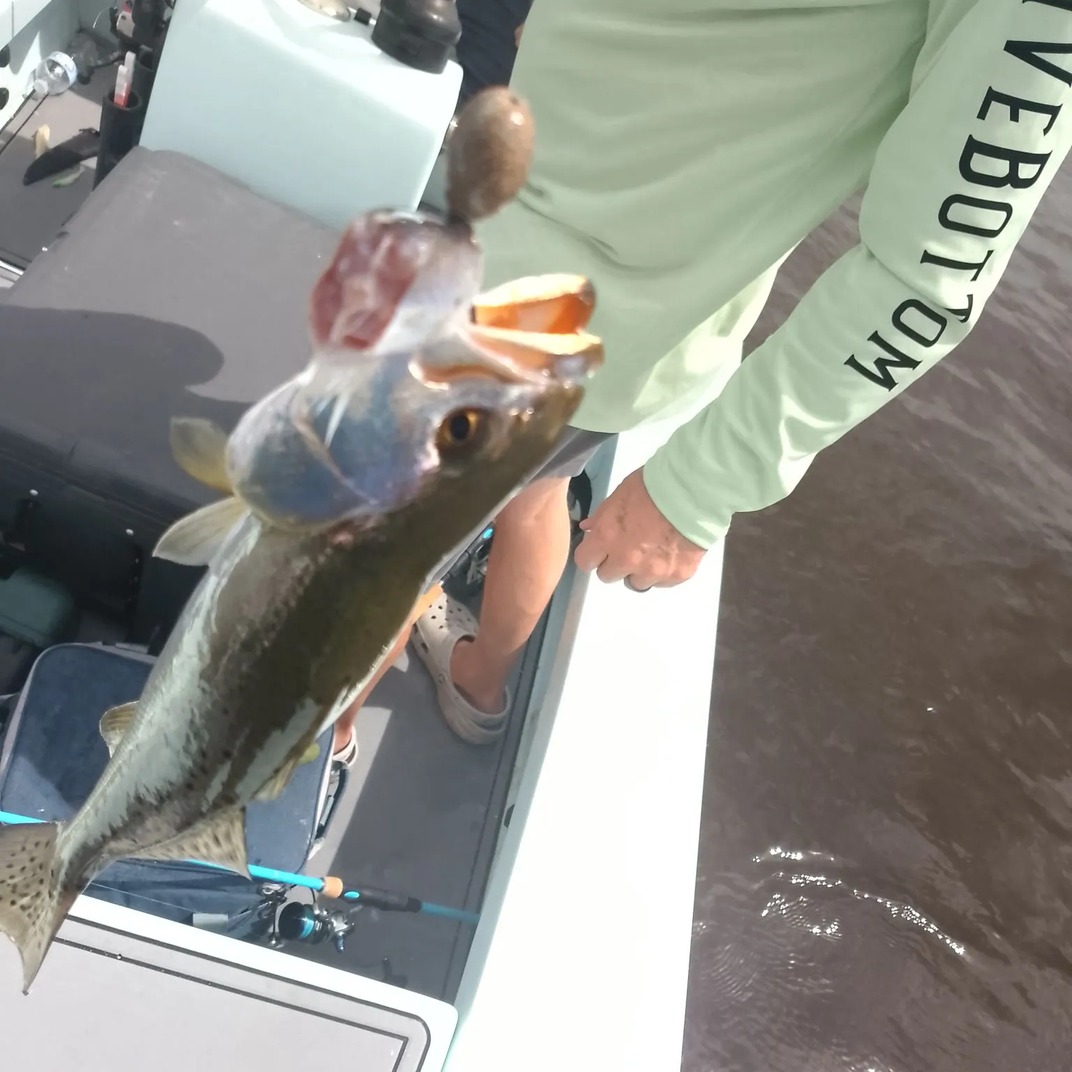 Spotted seatrout caught on Fishbrain