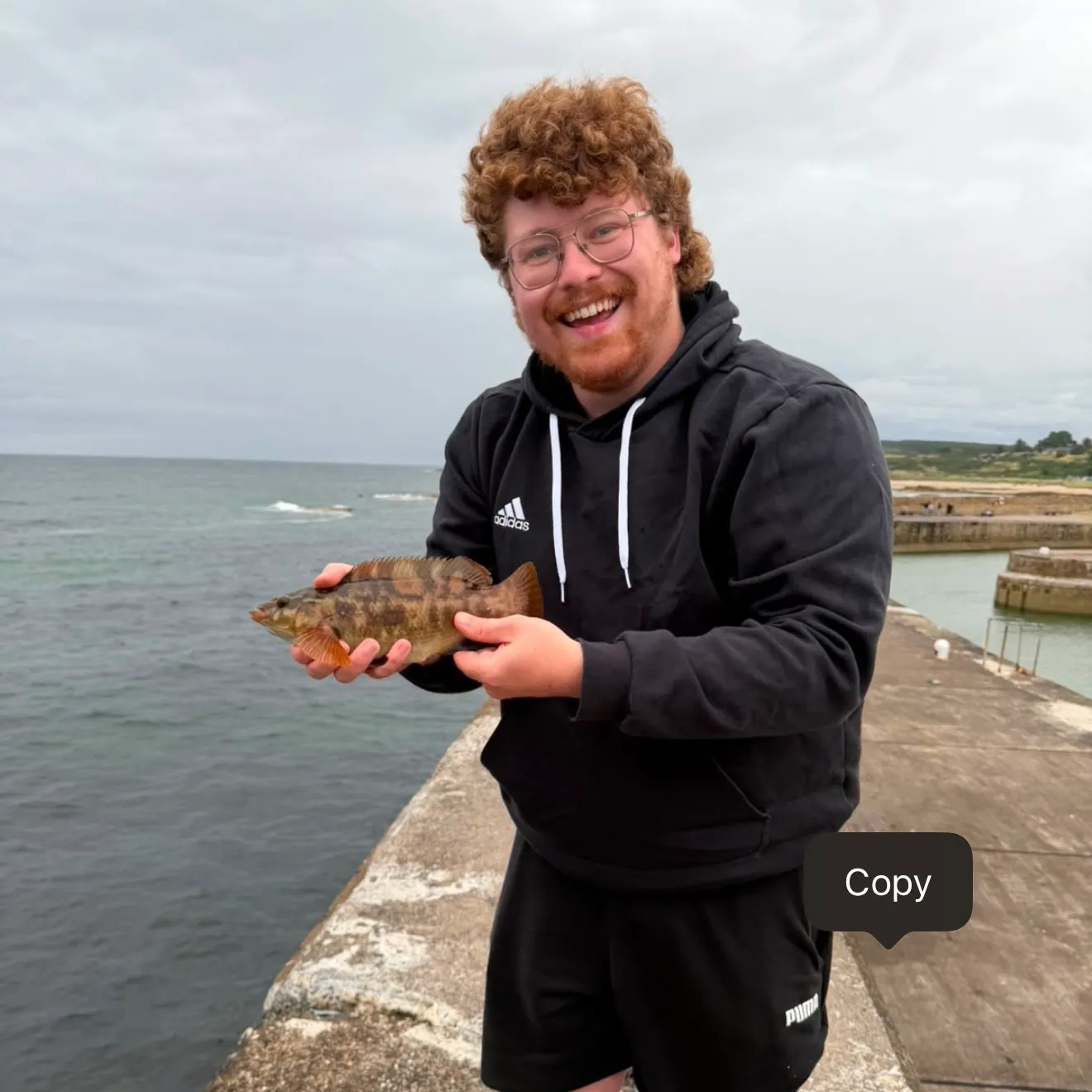 Ballan wrasse caught on Fishbrain