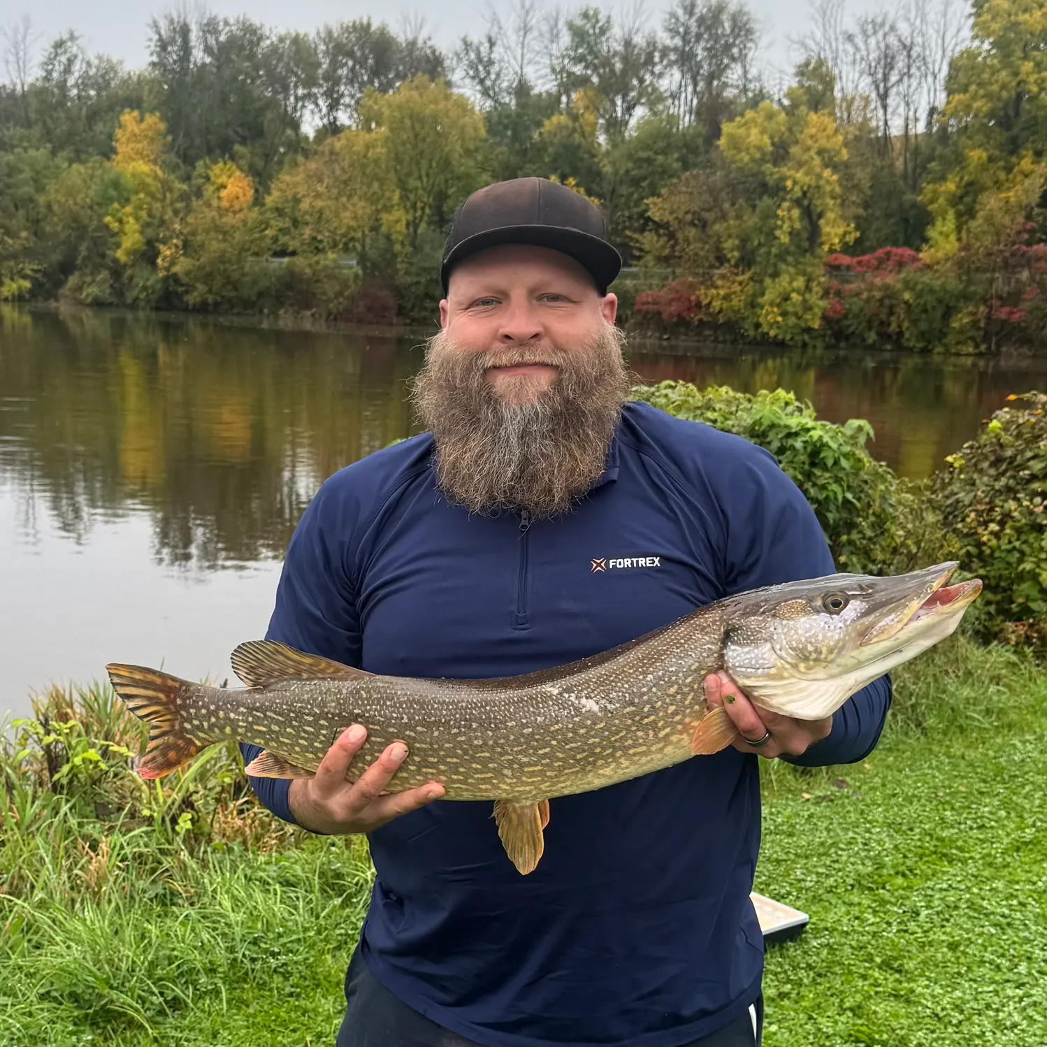 Northern pike caught on Fishbrain