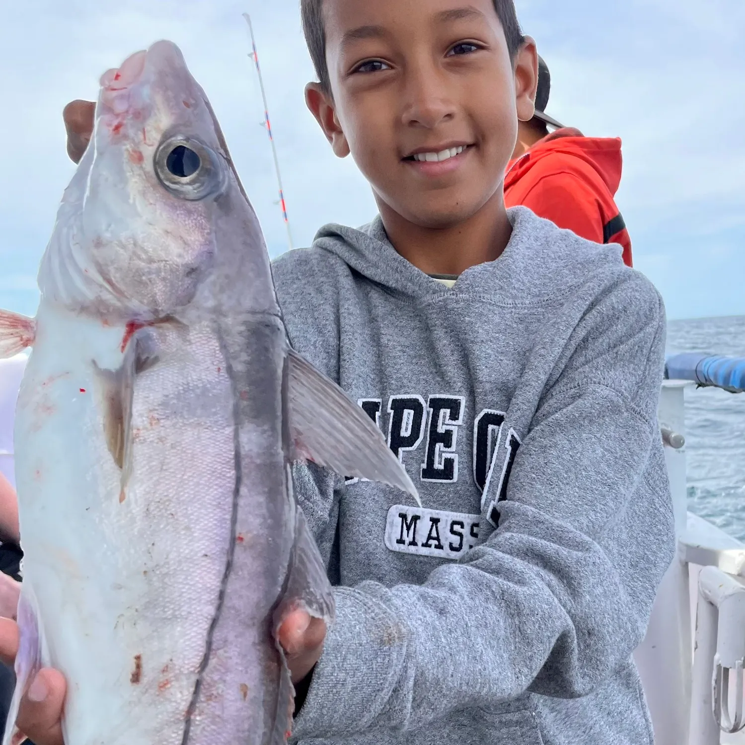 The most recent Haddock catches on Fishbrain