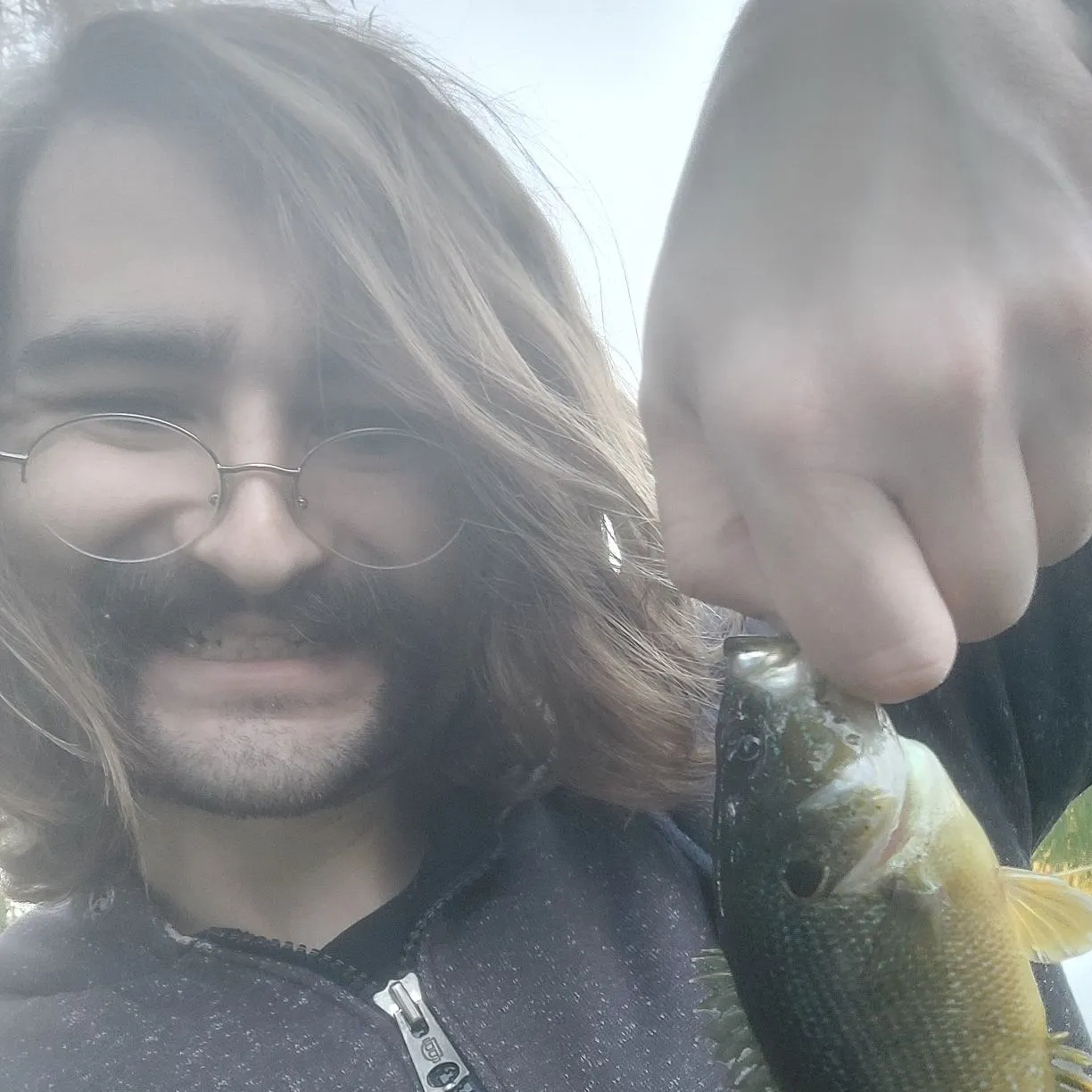 Green sunfish caught on Fishbrain