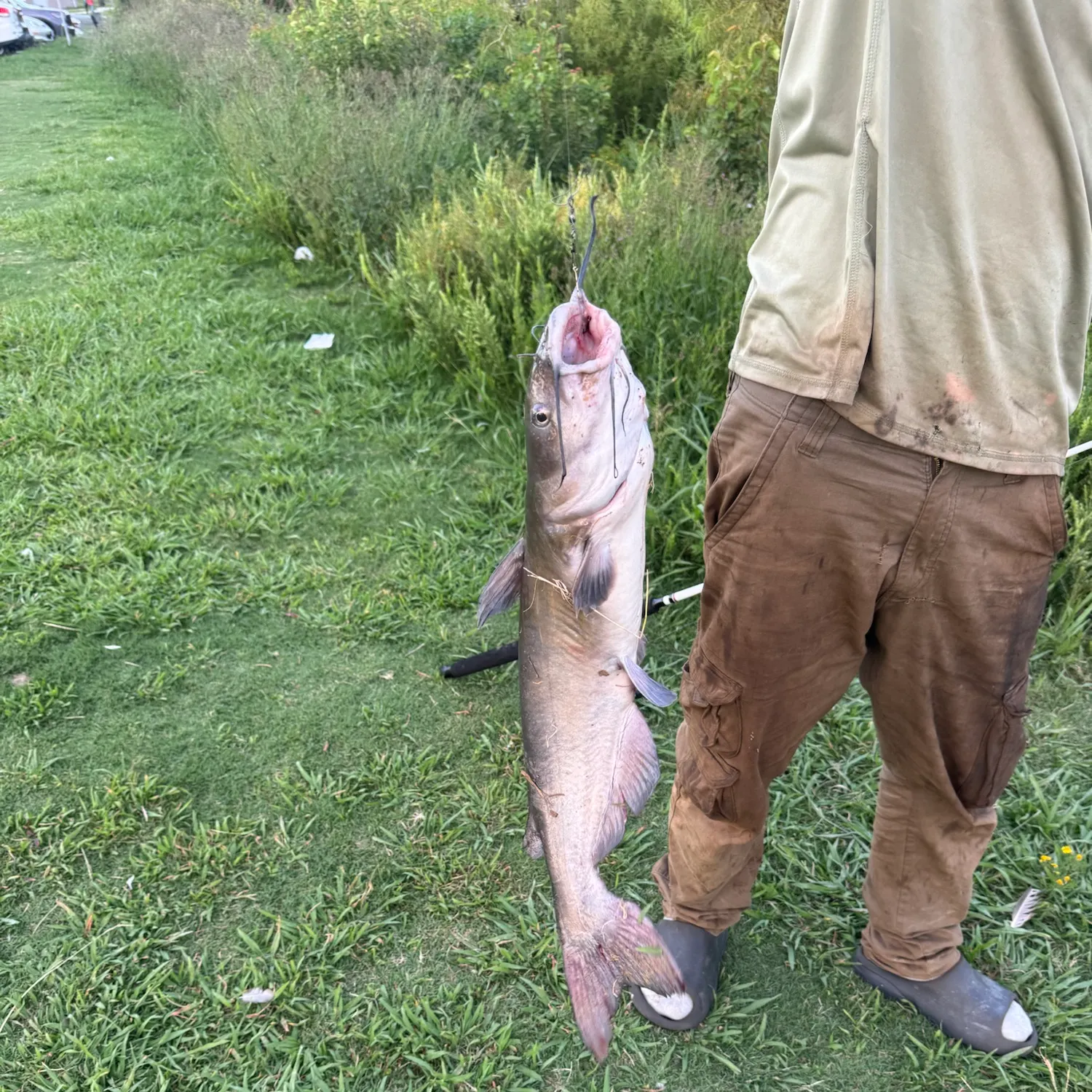 catch