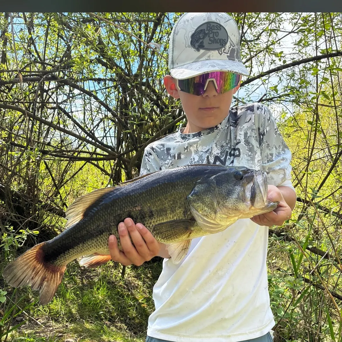 Largemouth bass caught on Fishbrain