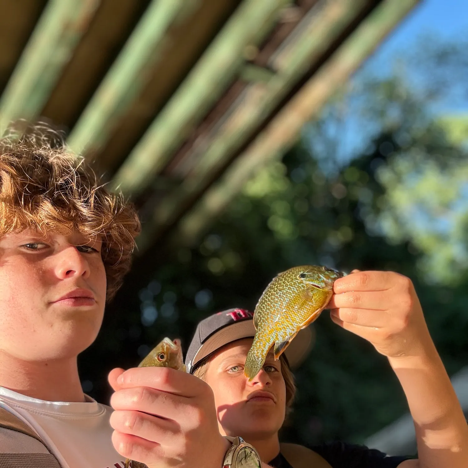 catch