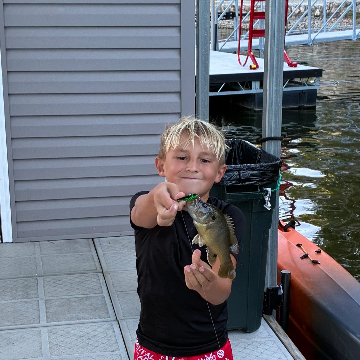 Warmouth caught on Fishbrain