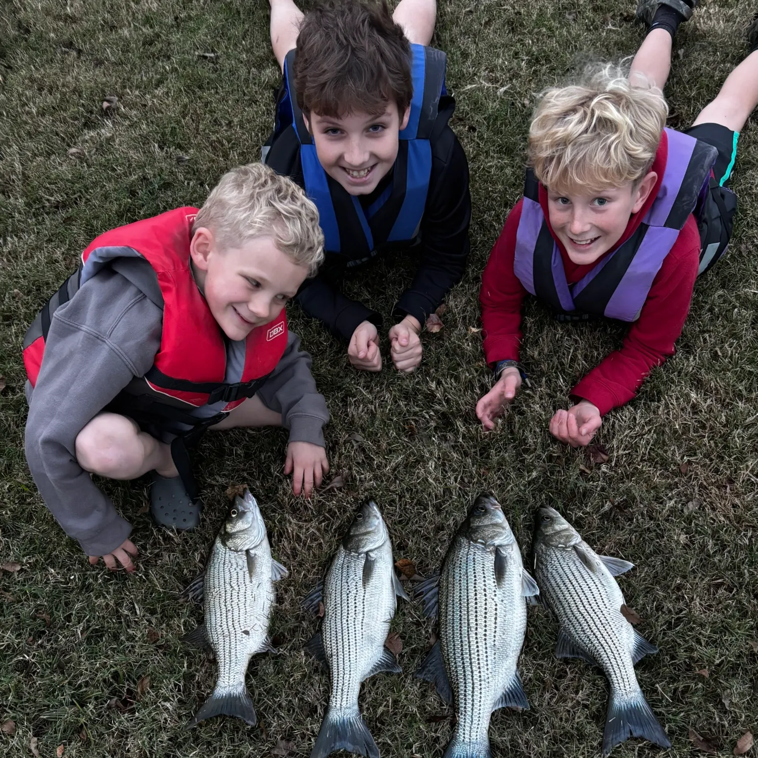 The most recent Hybrid striped bass catches on Fishbrain