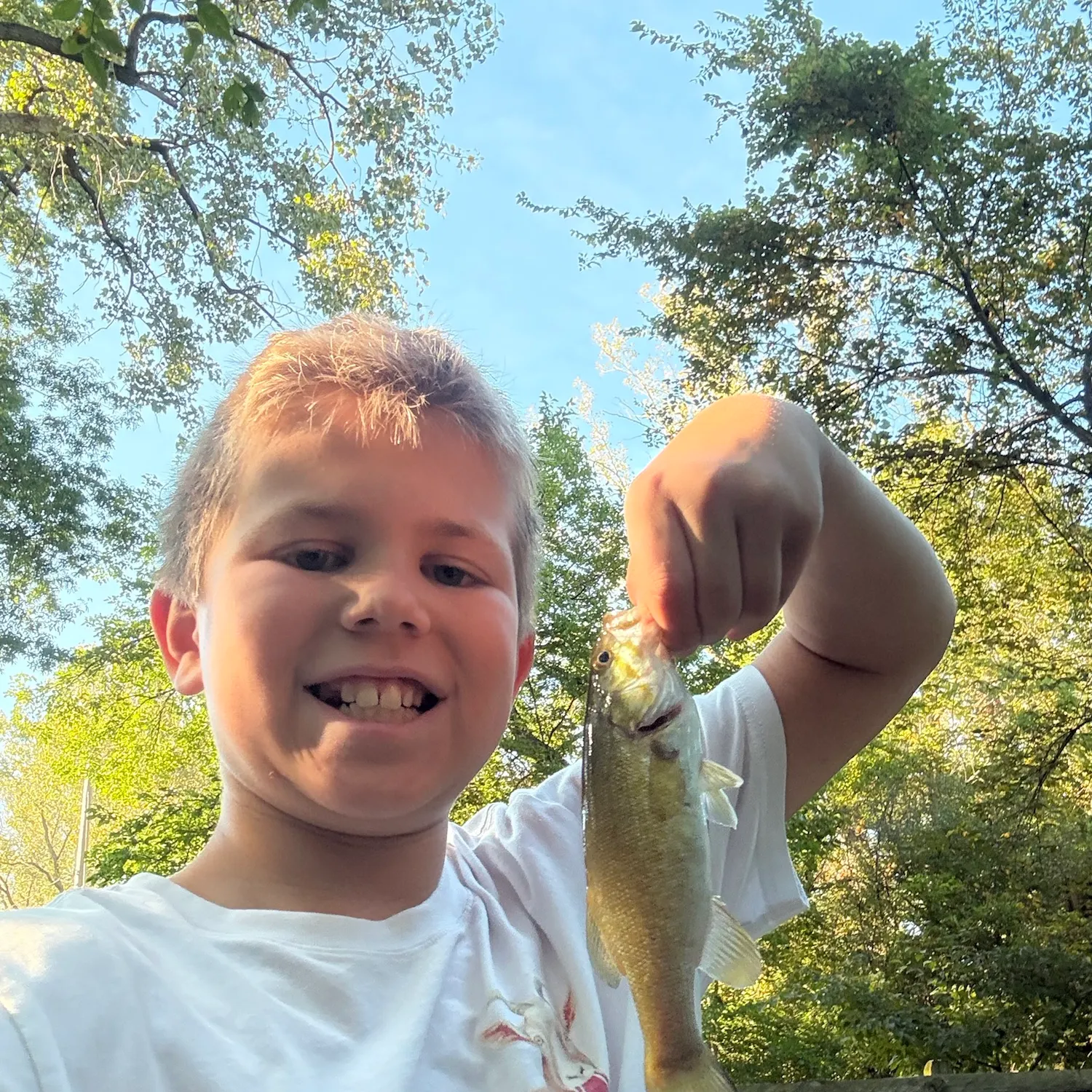 Smallmouth bass caught on Fishbrain