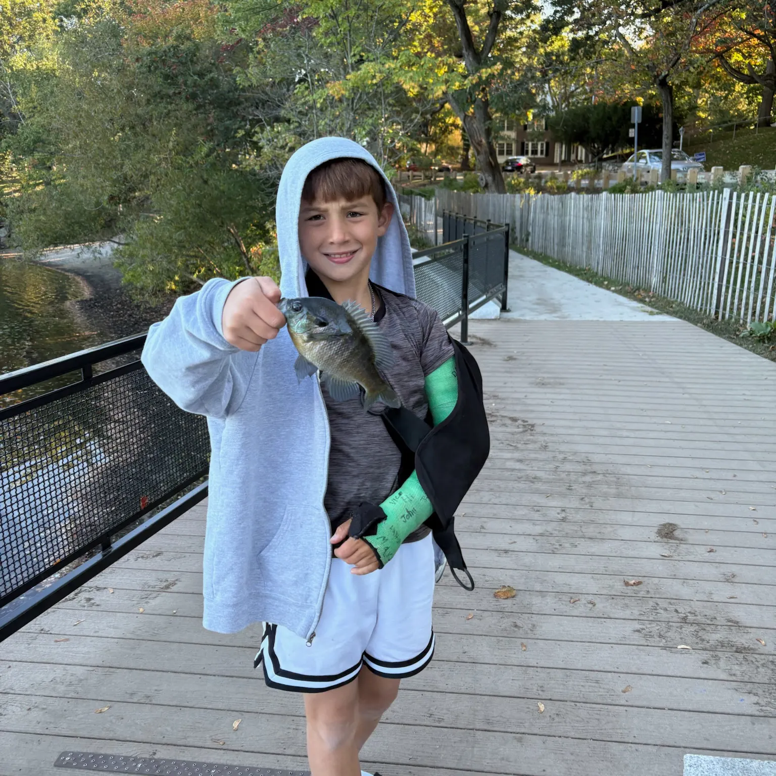 The most recent Banded sunfish catches on Fishbrain