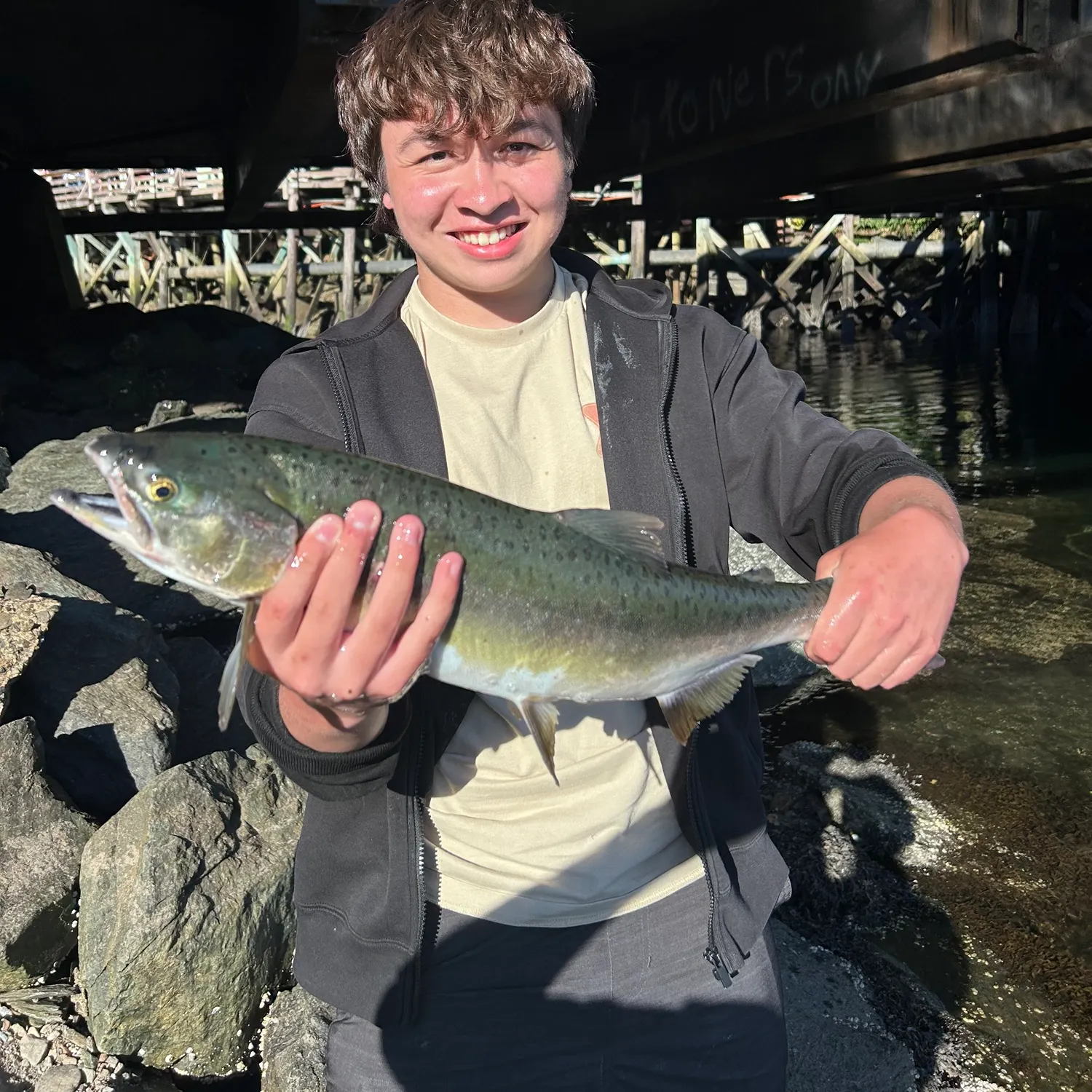 Pink salmon caught on Fishbrain