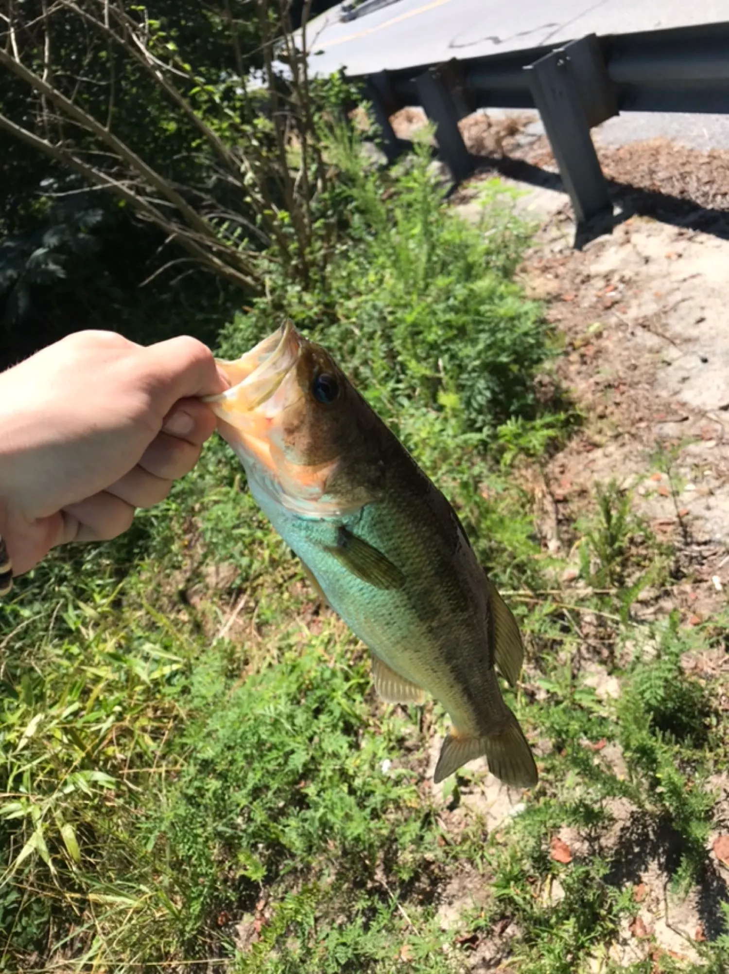 Post image from matt.andrews