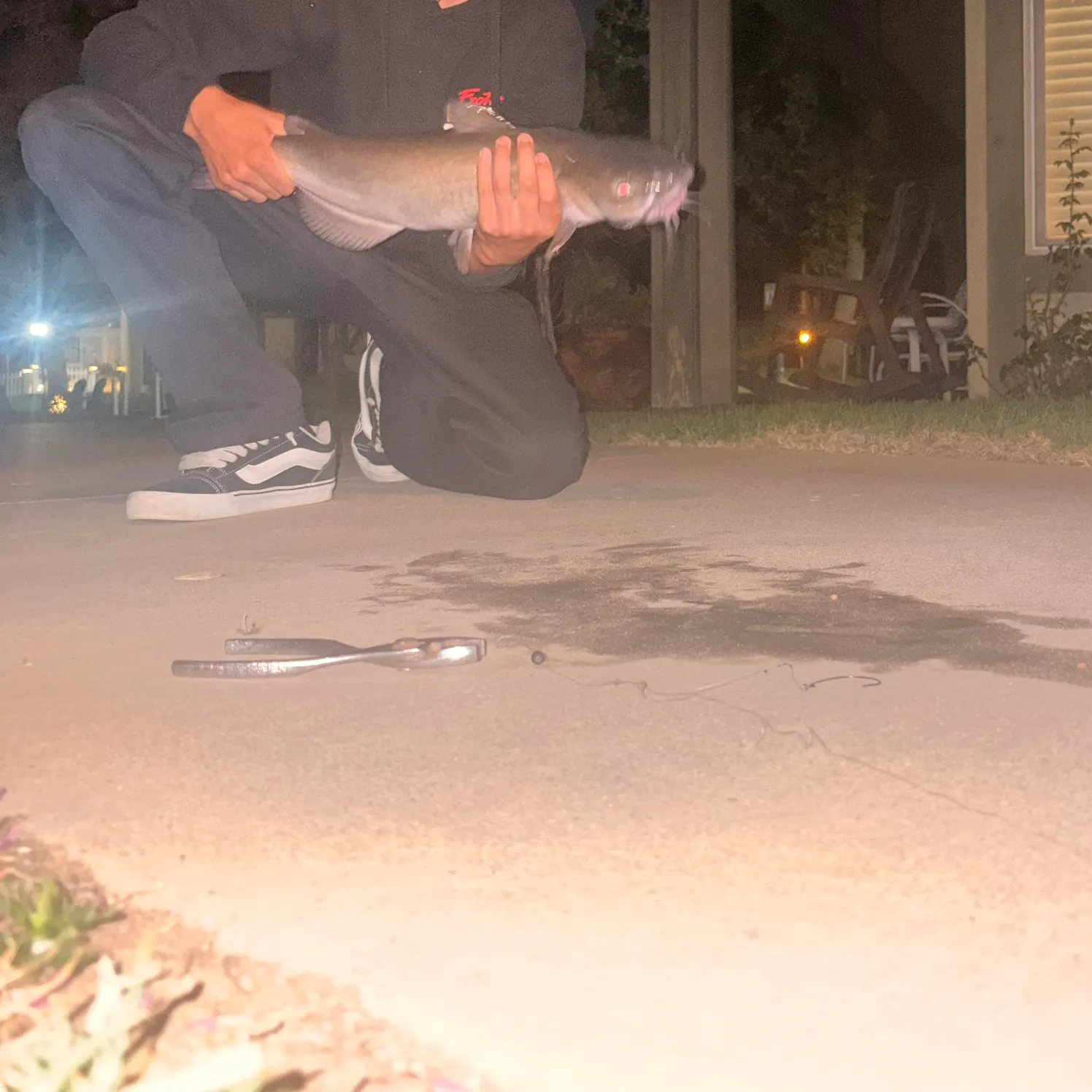 Channel catfish caught on Fishbrain