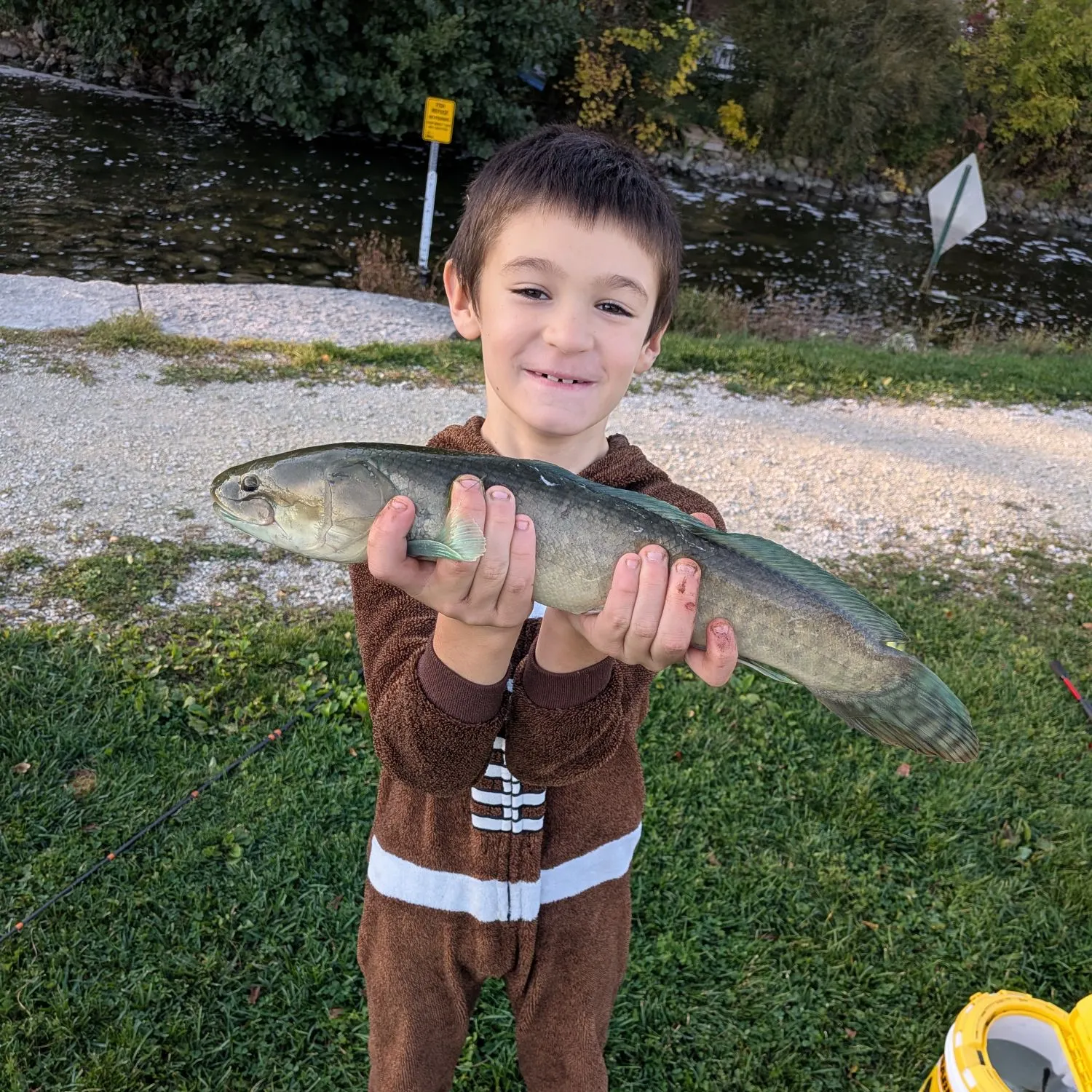 Eyetail bowfin caught on Fishbrain