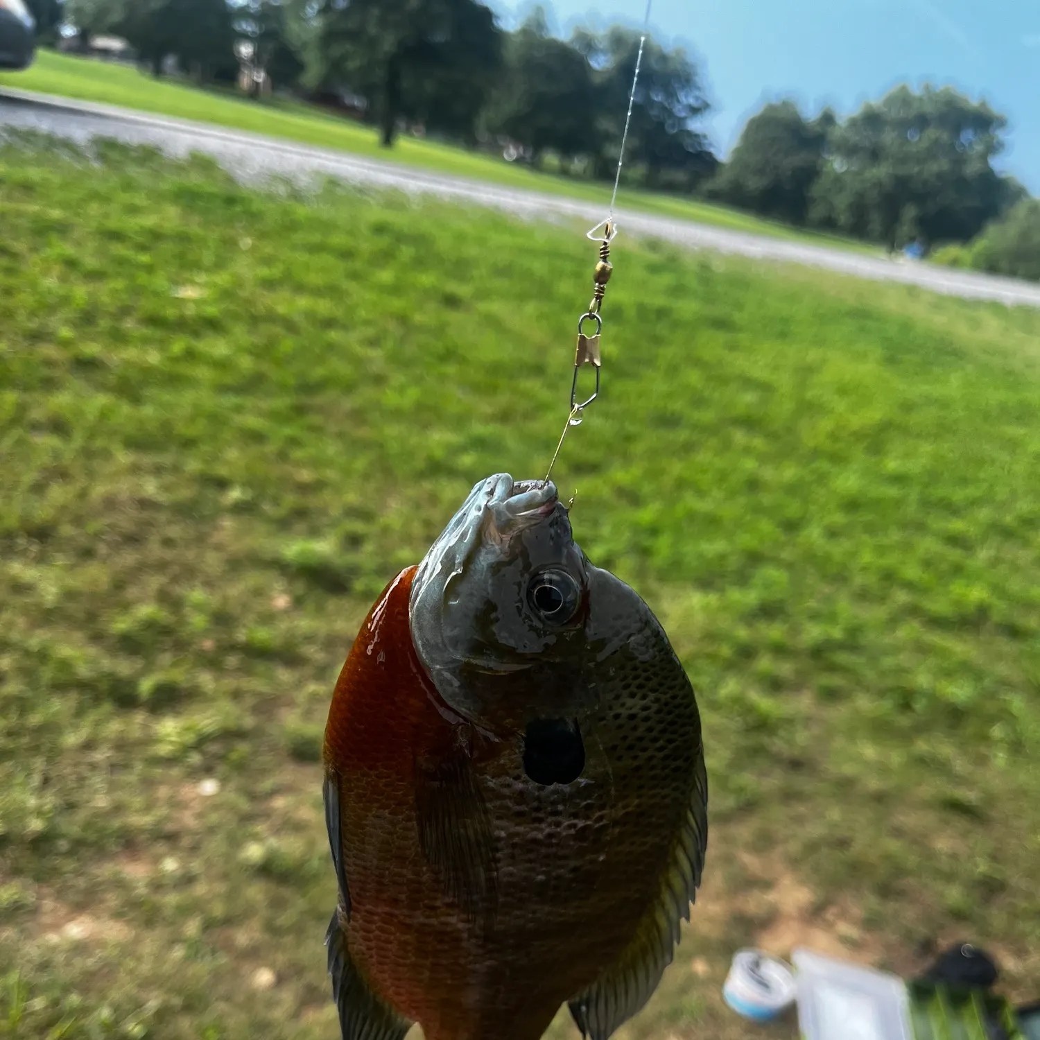 catch