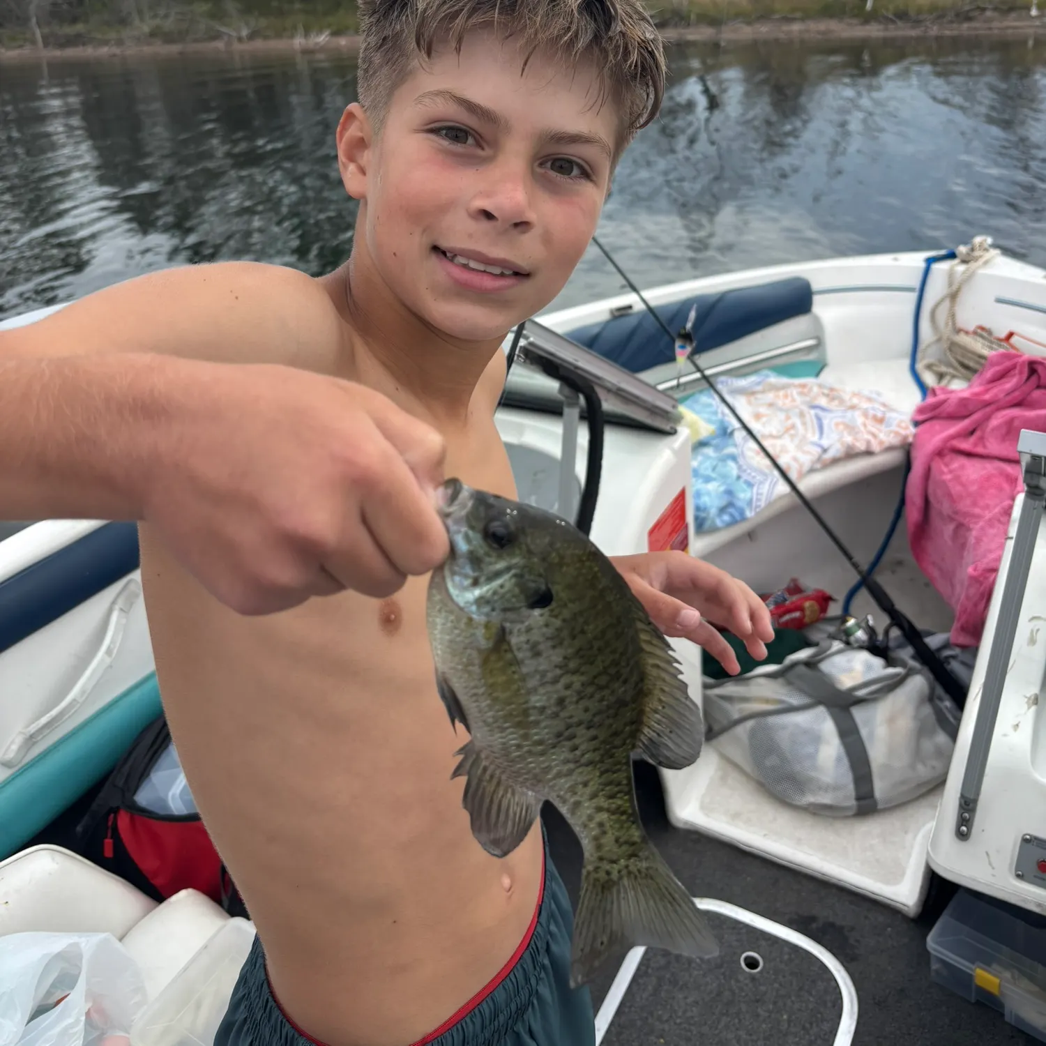 Bluegill caught on Fishbrain