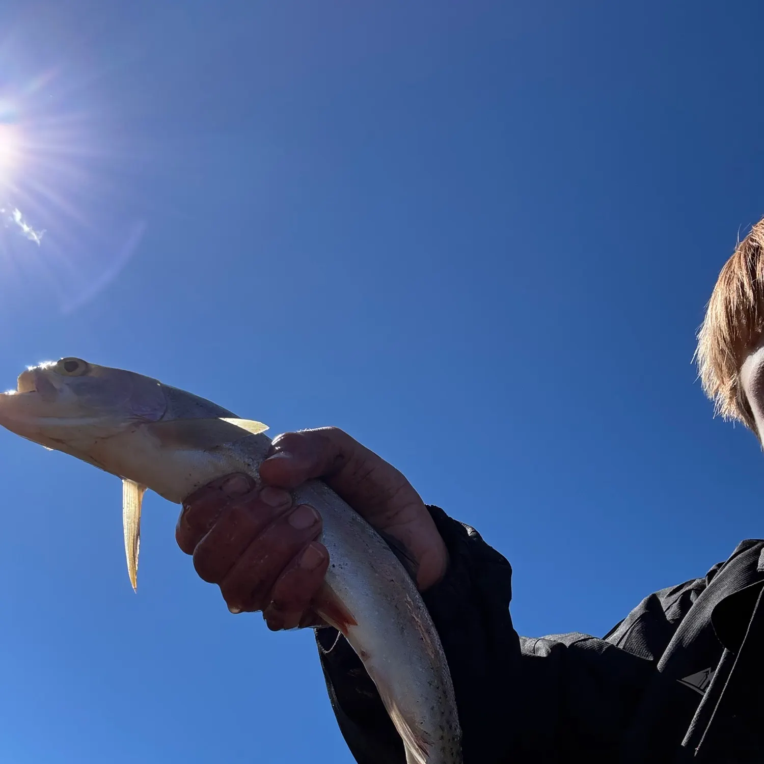 Rainbow trout caught on Fishbrain