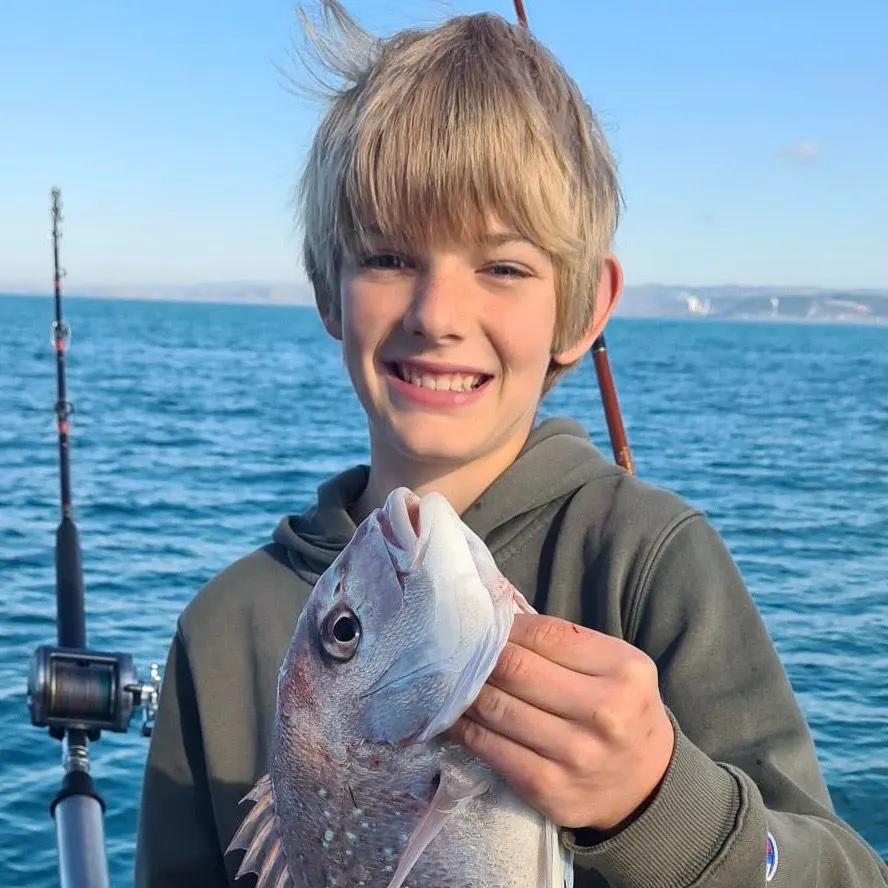 Australasian snapper caught on Fishbrain