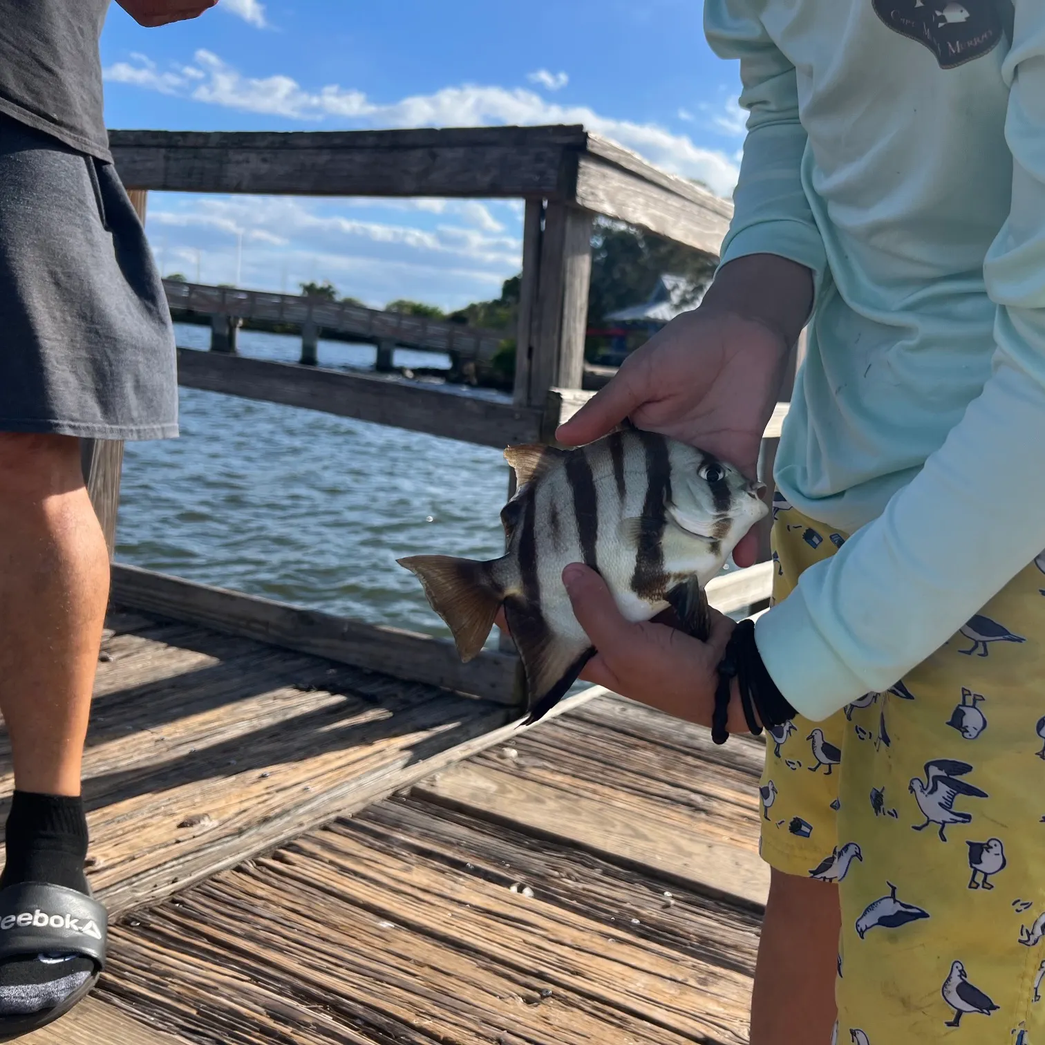 The most recent Pacific spadefish catches on Fishbrain