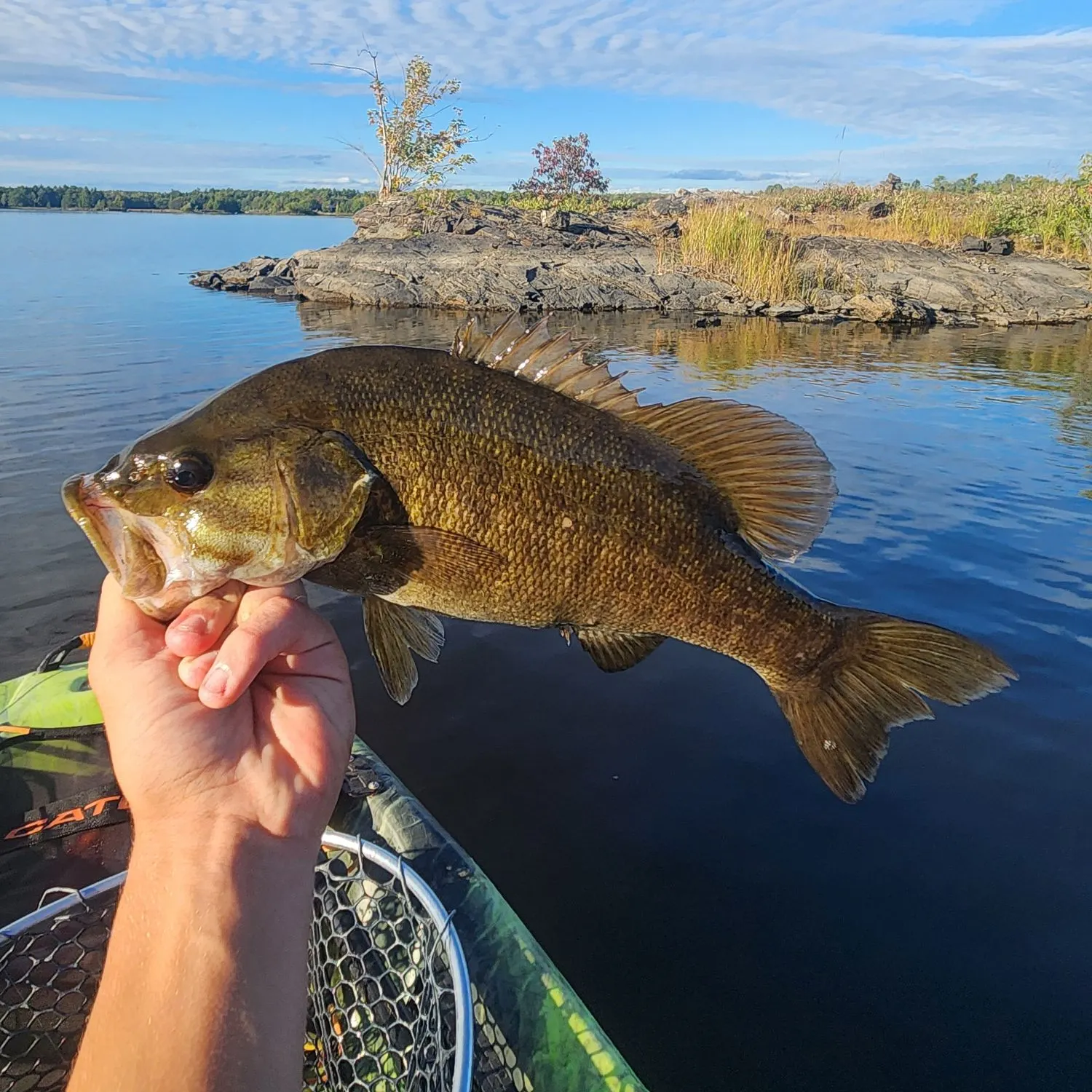 Smallmouth bass caught on Fishbrain