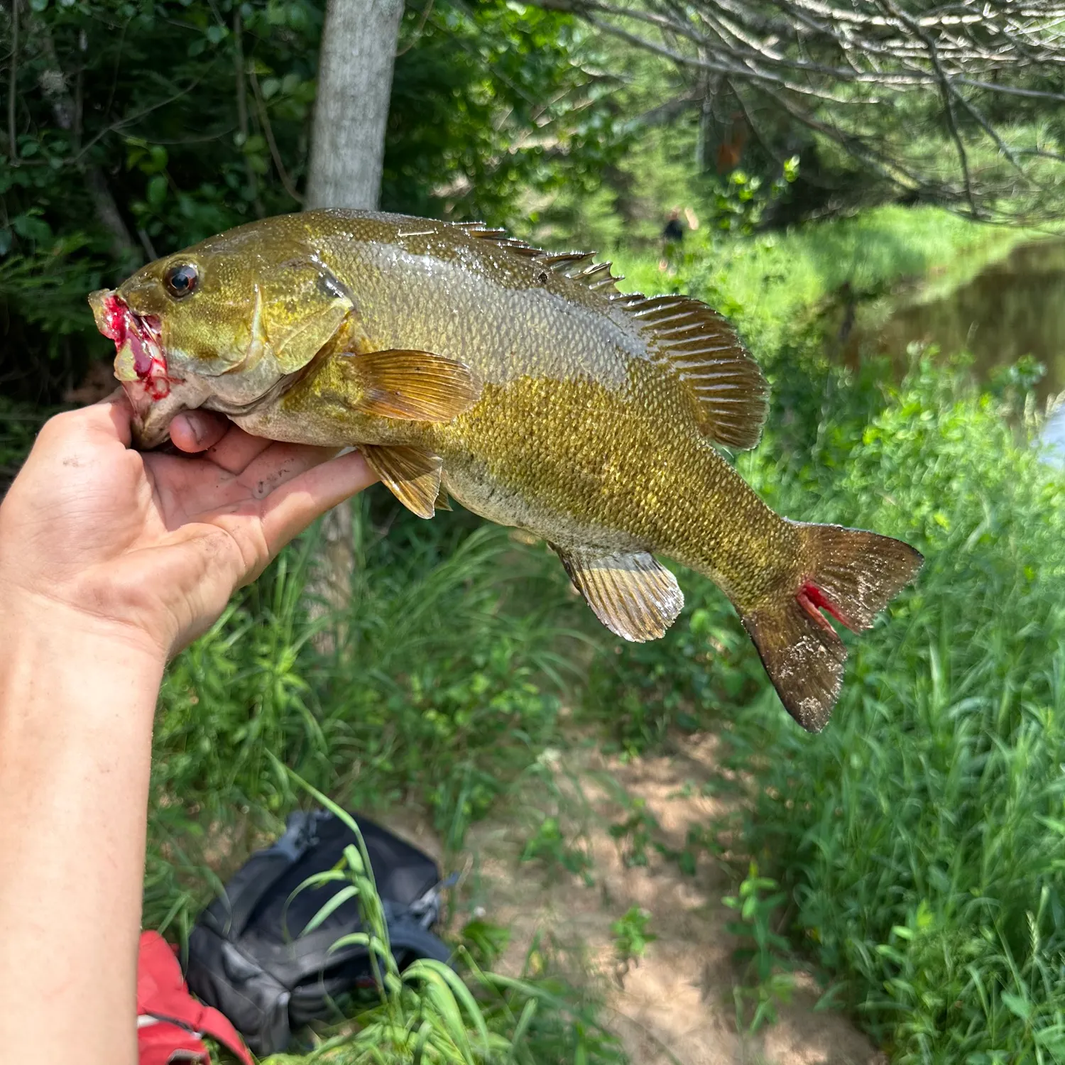 catch