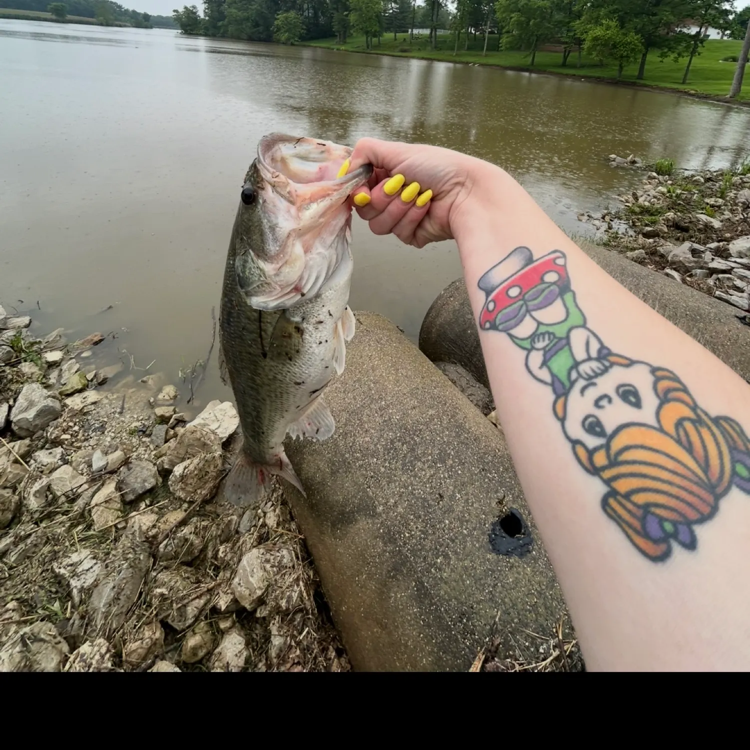 recently logged catches