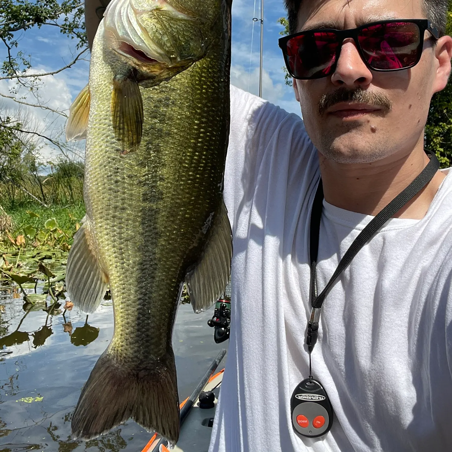 Largemouth bass caught on Fishbrain