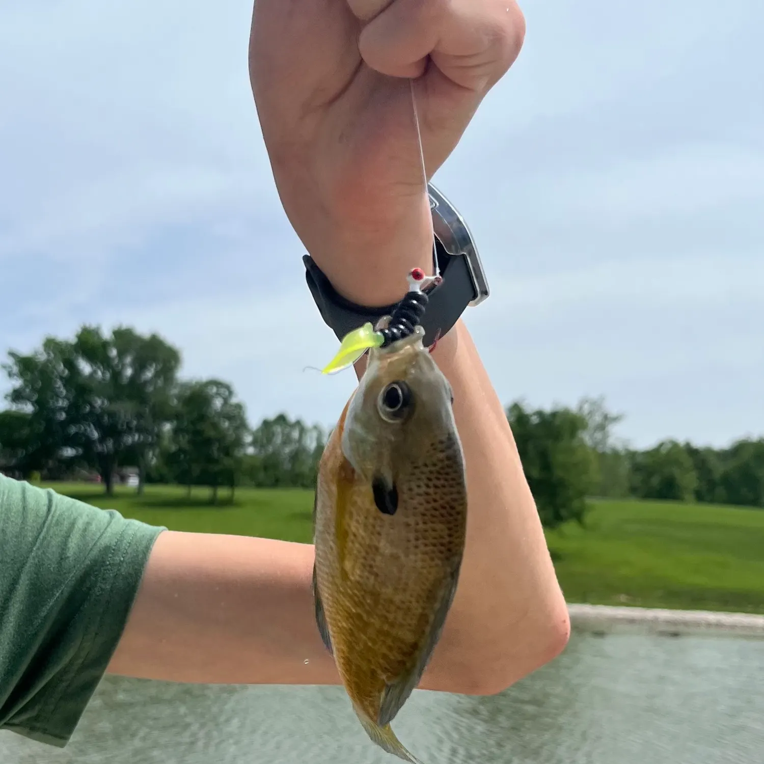 catch